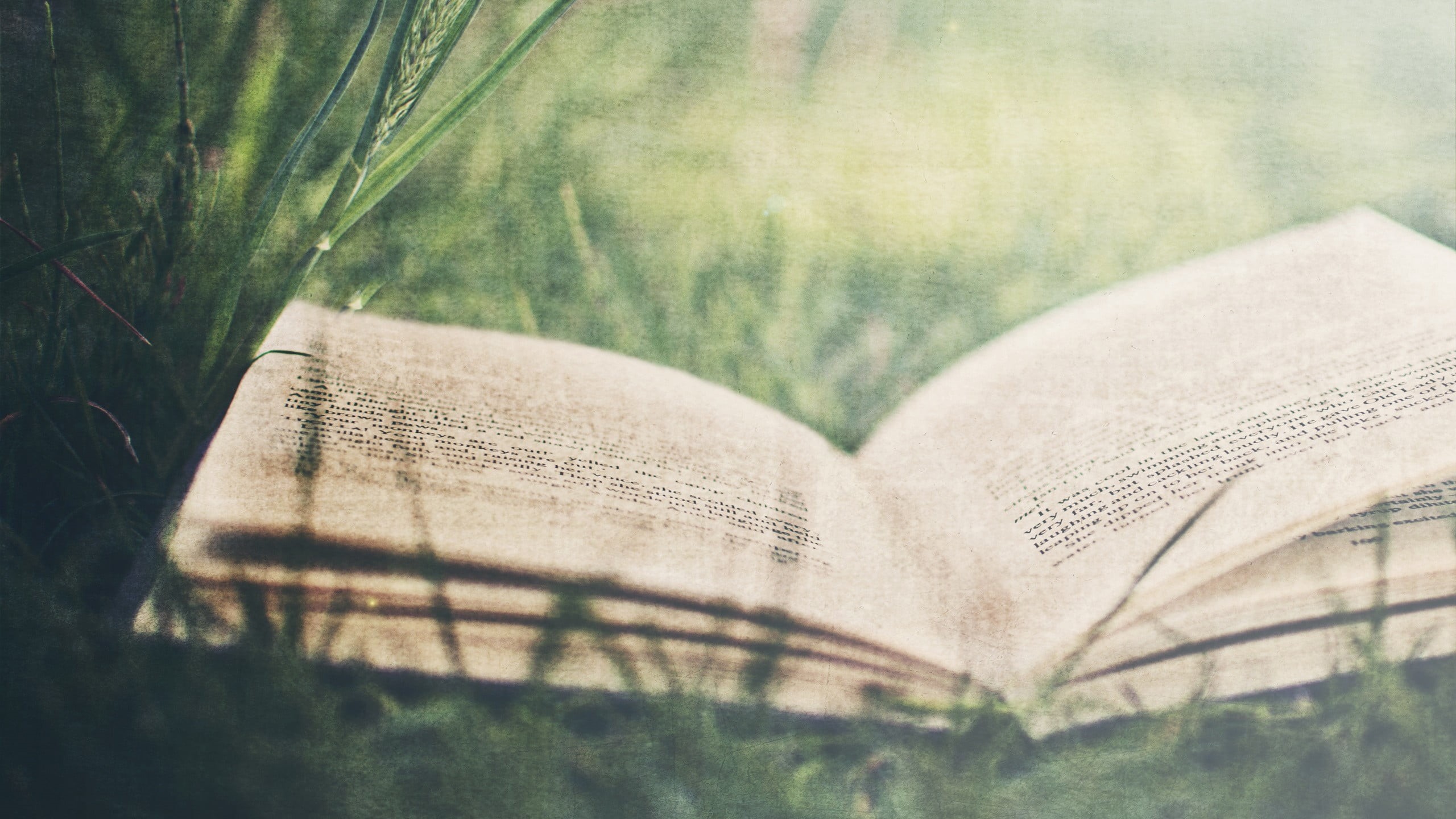 2K, creativity, emotion, day, no people, books, paper, publication, close-up, the past, page, art and craft, book, tree, plant, backgrounds, heart shape, HD Wallpaper