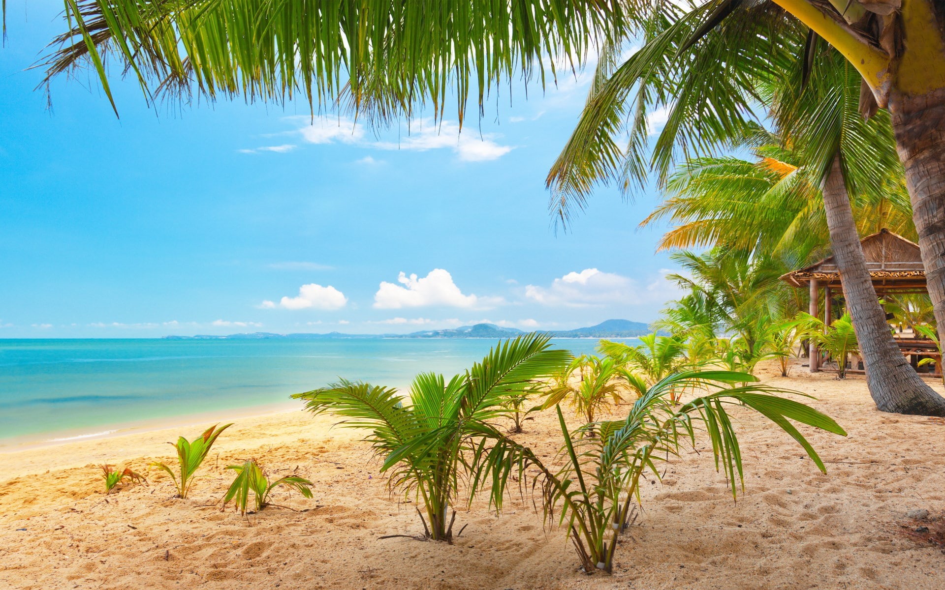 1080P, background pictures nature hd images 1920x1200, HD Wallpaper