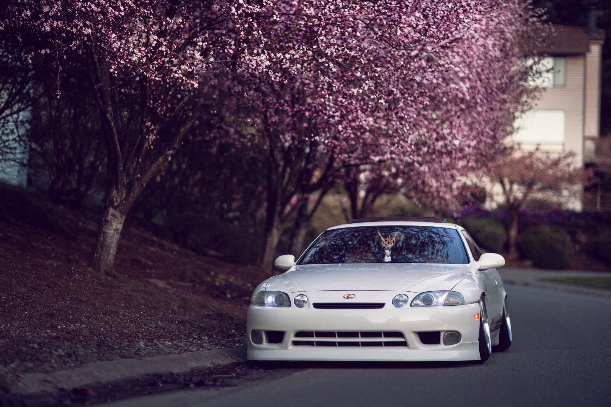 growth, focus on foreground, tuning, land vehicle, hellaflash, Japan, car, freshness, nature, day, 1080P, no people, transportation, blossom, city, Lexus, HD Wallpaper