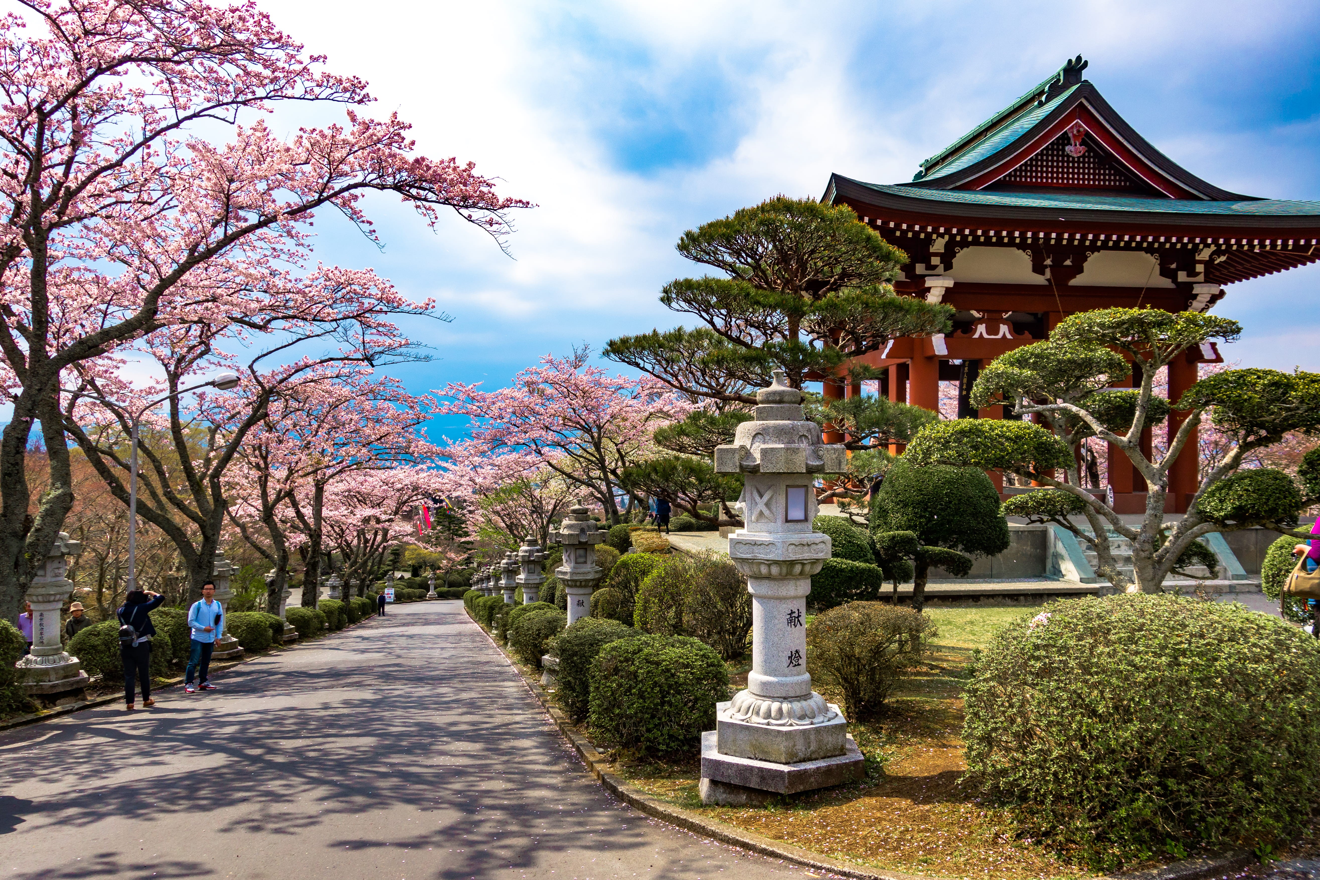 outdoors, plant, tree, hakone, growth, belief, shrine, temple, day, travel, sakura, religion, sky, gotenba, park - man made space, incidental people, nature, HD Wallpaper