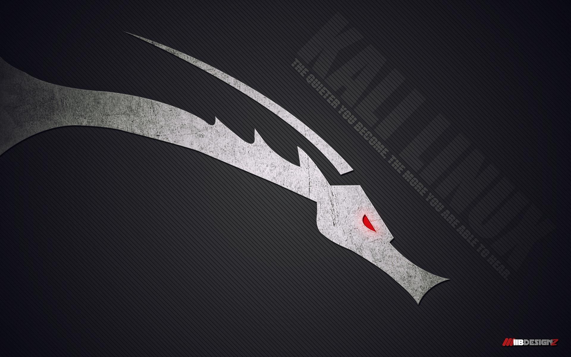 linux, kali-linux, 1080P, dragon, linux-dragon, kali, hack, HD Wallpaper