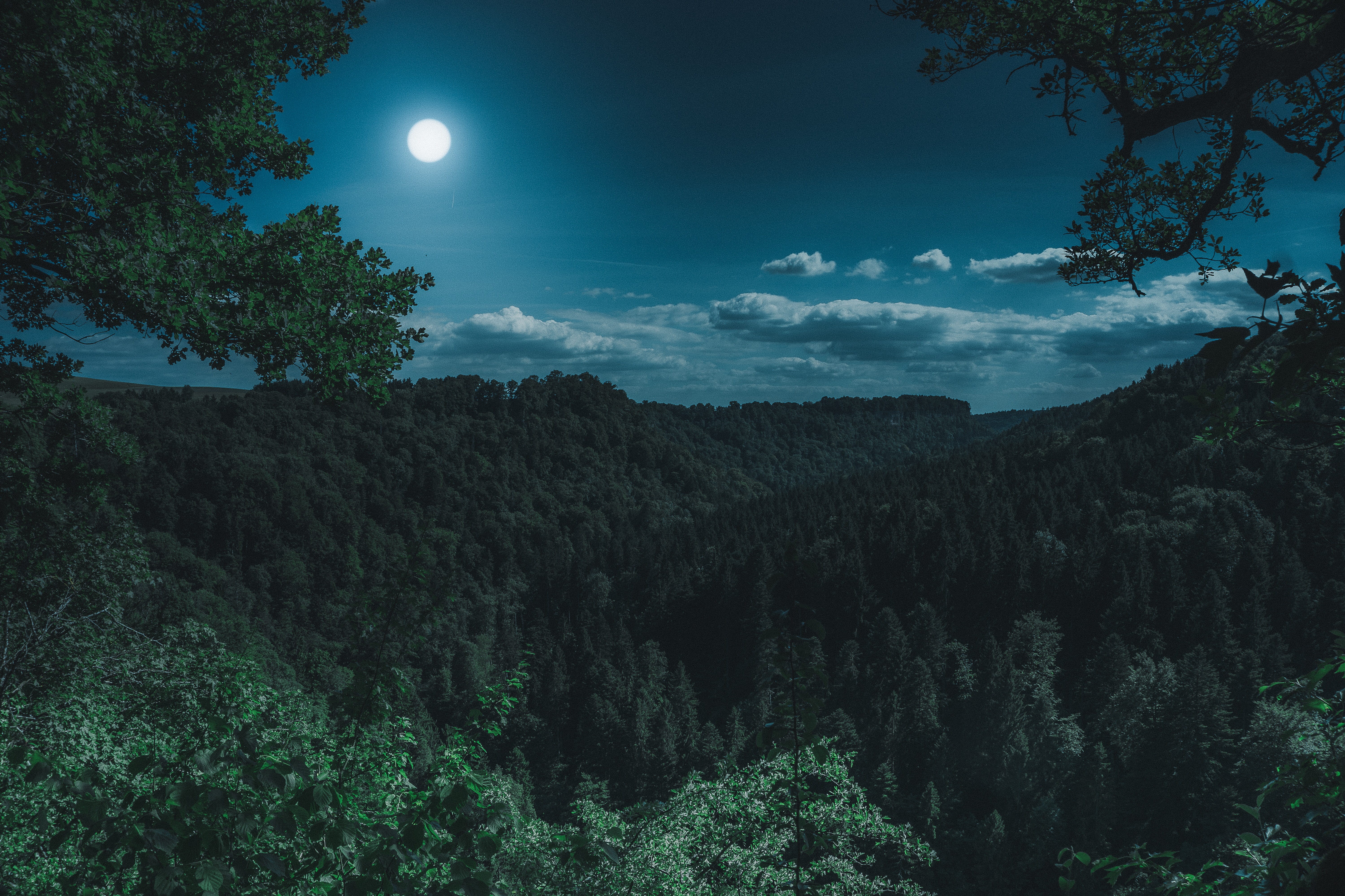 tranquility, places of interest, outdoors, root, idyllic, panorama, cloud - sky, non-urban scene, moonlight, environment, no people, growth, spring, nighttime, HD Wallpaper