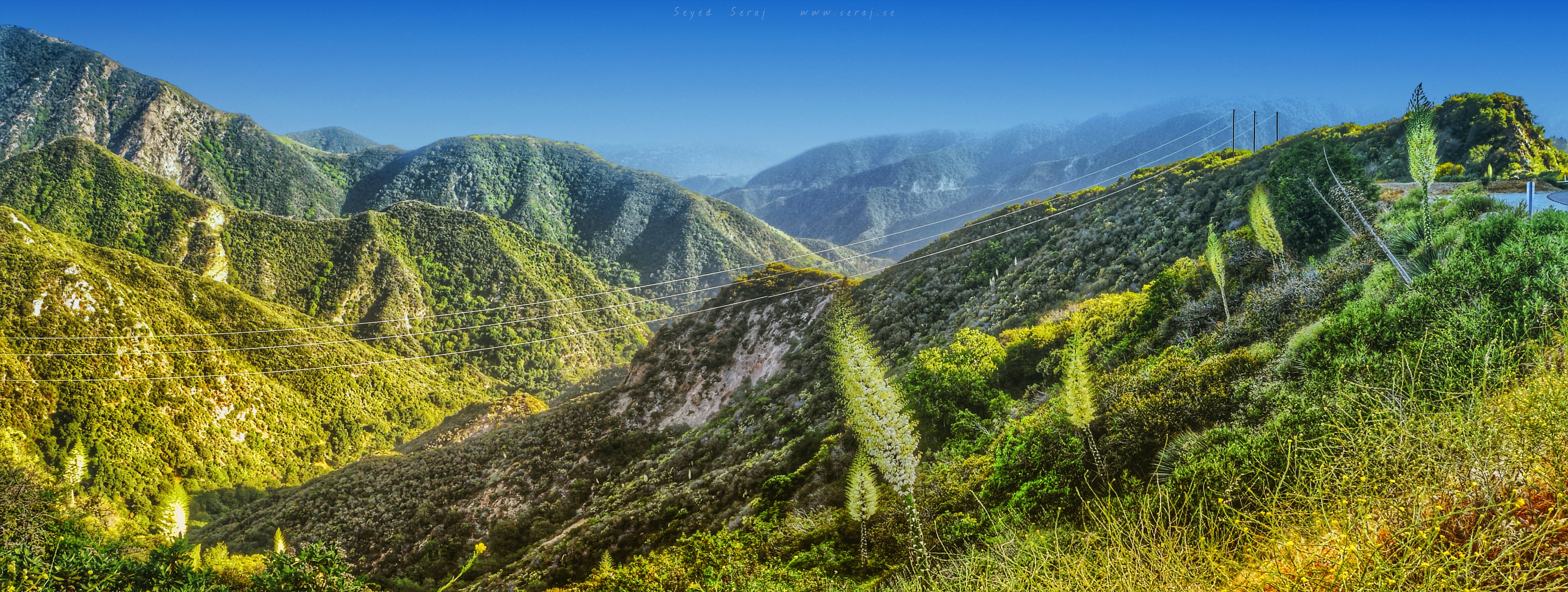IMG, electric, tree, evening  light, LEICA, mount, desktop, forest  green, panorama, altitude, transmission, ASPH, Crest, USA, trail, DMC, plant, high, HD Wallpaper