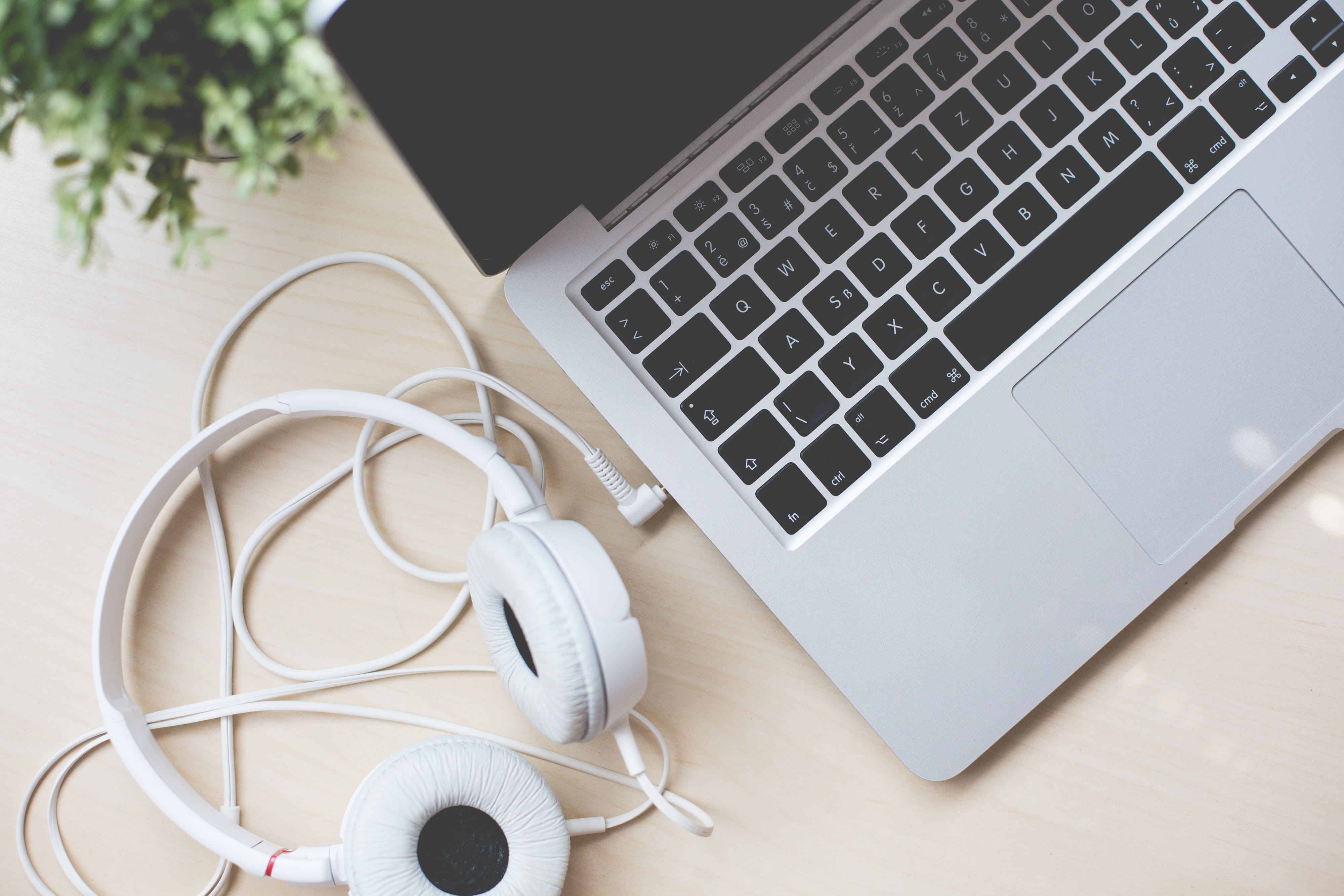 equipment, music, keyboard, pC, no People, communication, Flower, laptop, high angle view, computer network, listening, connection, table, wireless Technology, HD Wallpaper
