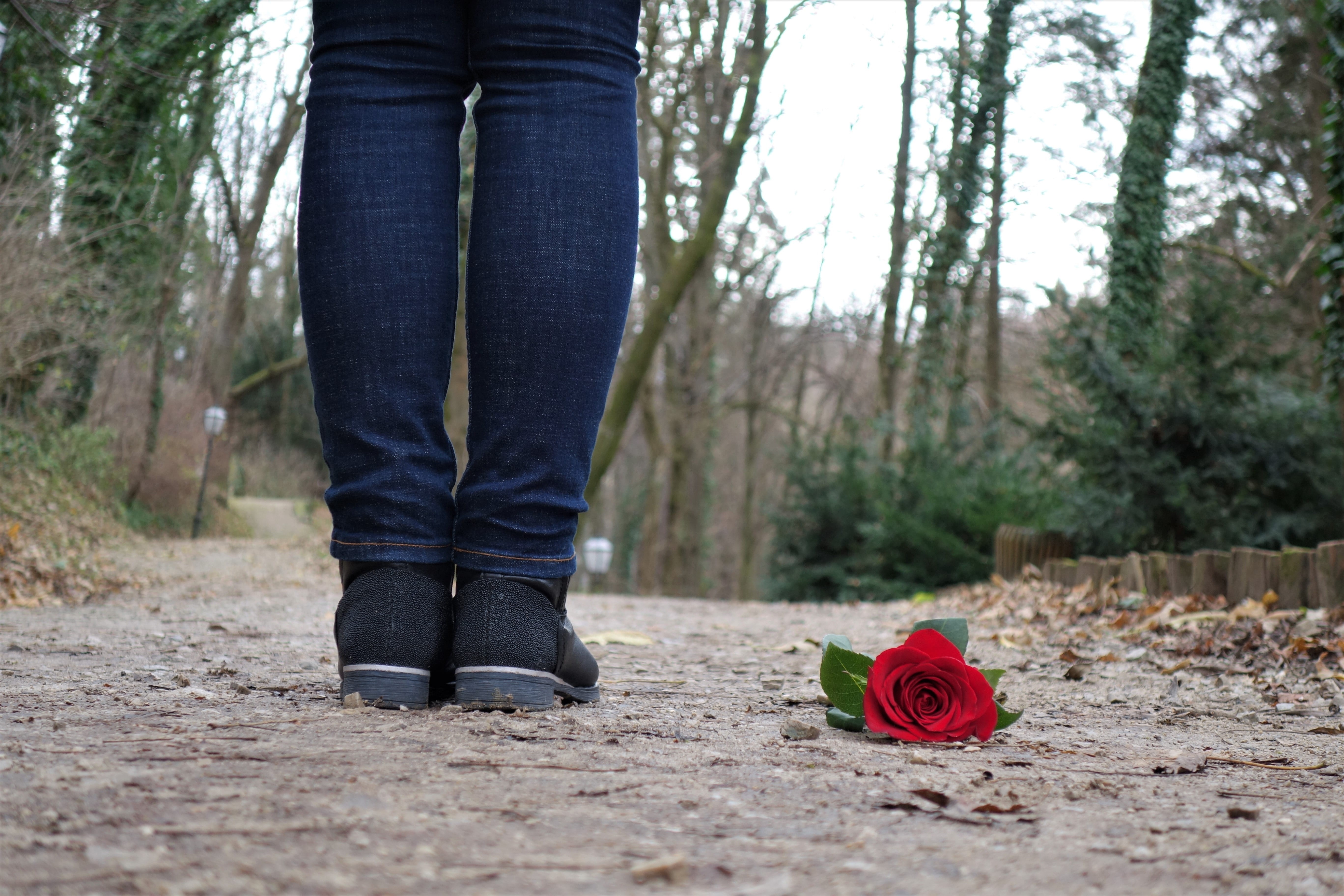 casual clothing, jeans, love, forest, red, floor, shoe, human leg, depressive, nature, human body part, young, sad girl, sadness, outdoors, women, emotional, HD Wallpaper