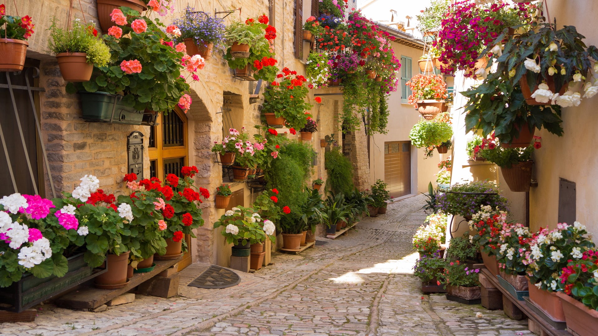 greece, 1080P, flowers, streets, beautiful, beautiful streets, city, street, HD Wallpaper