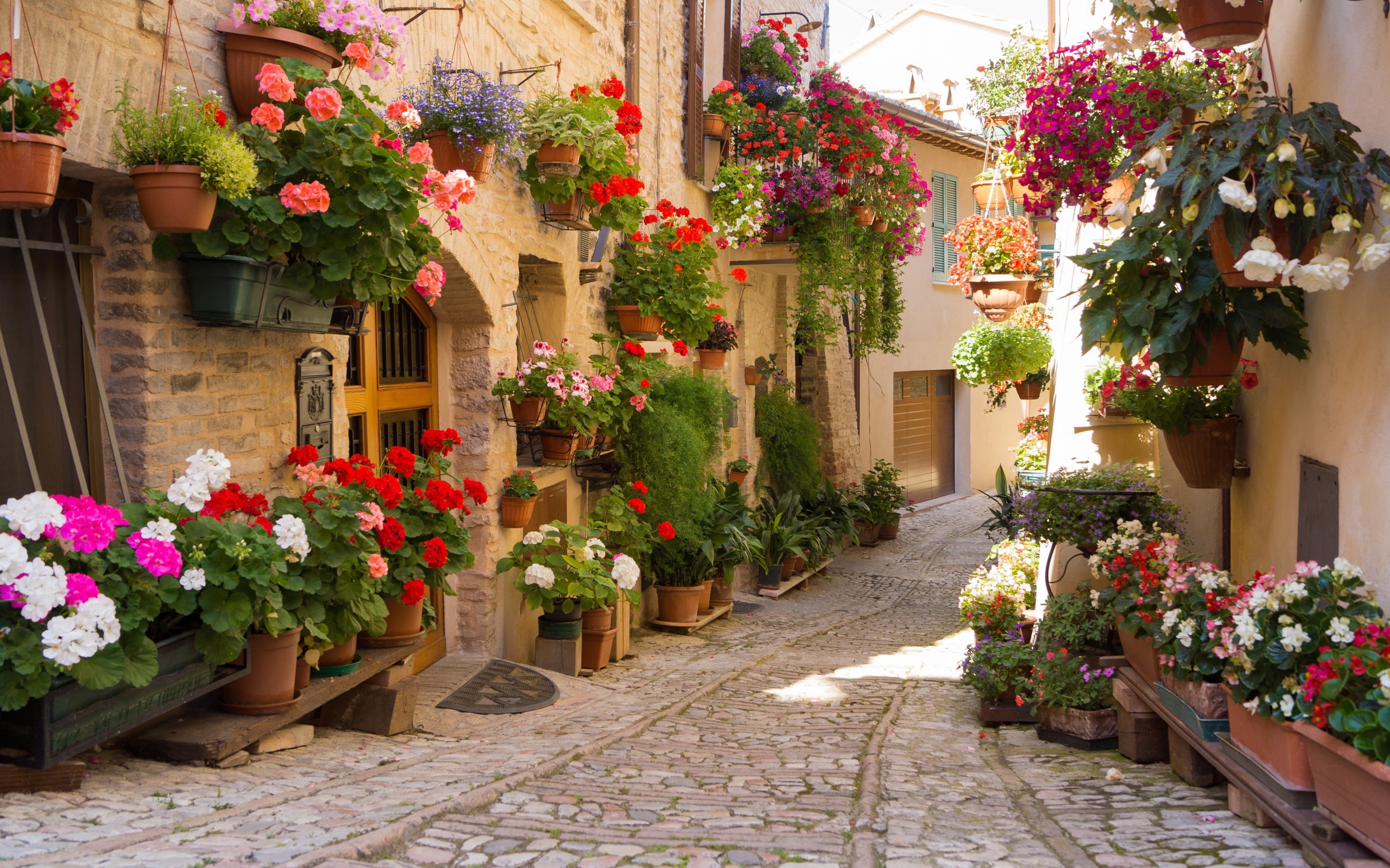 greece, city, 2K, street, flowers, HD Wallpaper