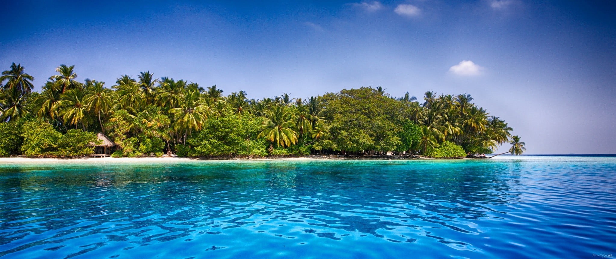 tropical climate, 1080P, coconut palm tree, exotic, idyllic, scenics - nature, beauty in nature, no people, nature, tropical tree, tranquility, swimming pool, HD Wallpaper