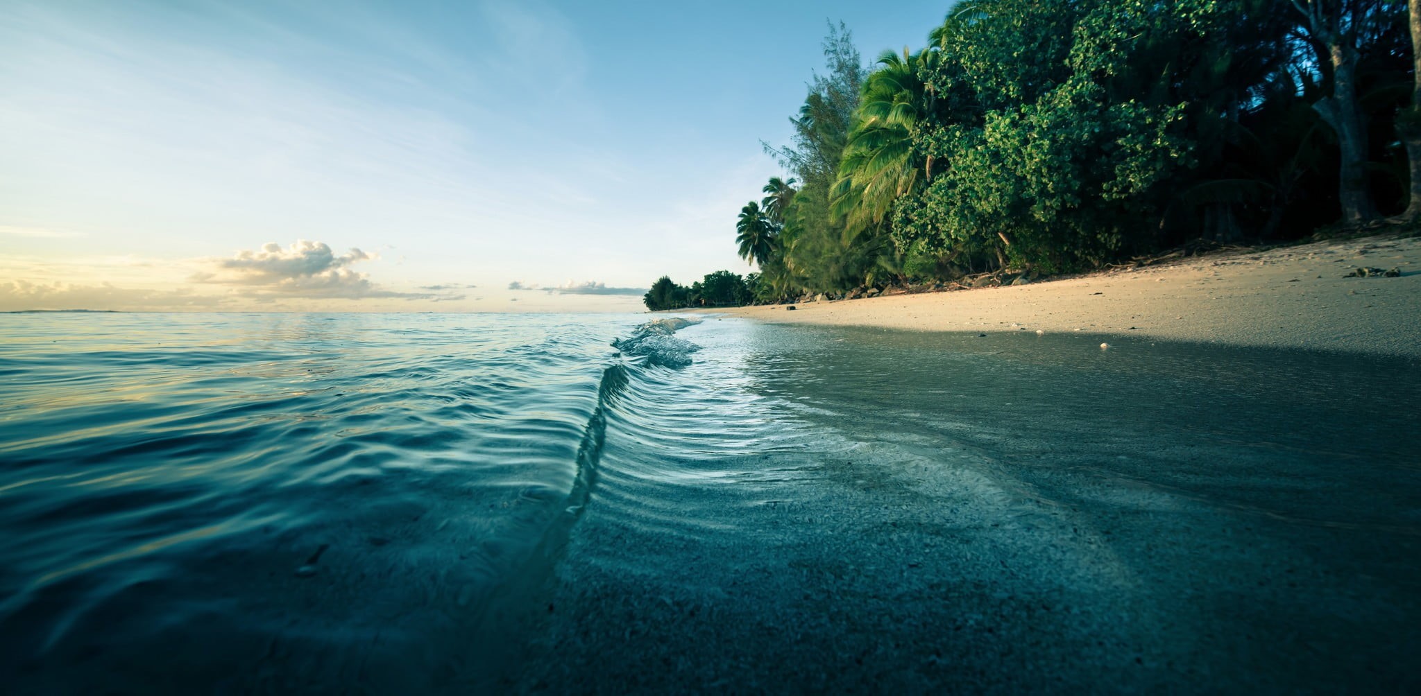 landscape, morning, sand, palm trees, sea, waves, beach, trees, water, 1080P, nature, HD Wallpaper