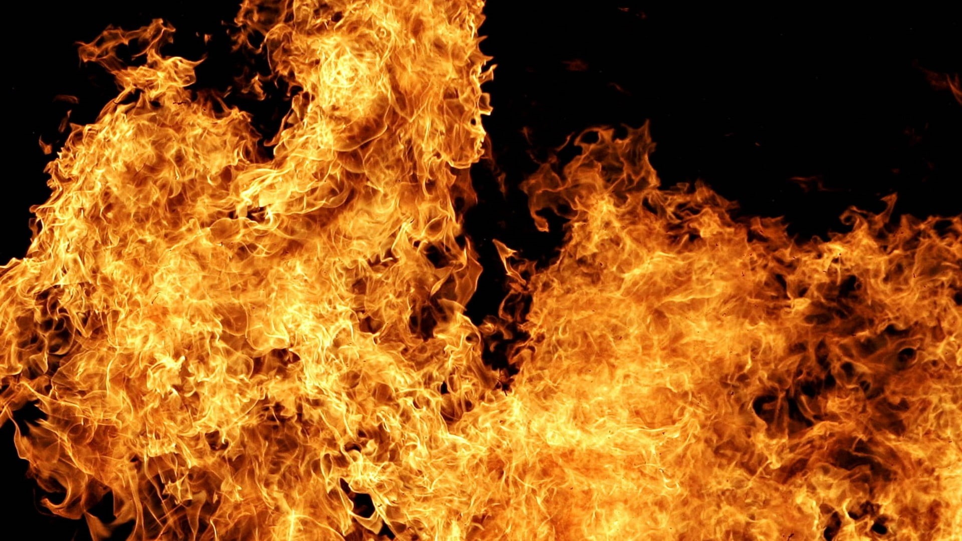 bonfire, illustration, no people, pattern, backgrounds, white, light - natural phenomenon, flash, bright, vibrant Color, fire, 1080P, igniting, yellow, HD Wallpaper