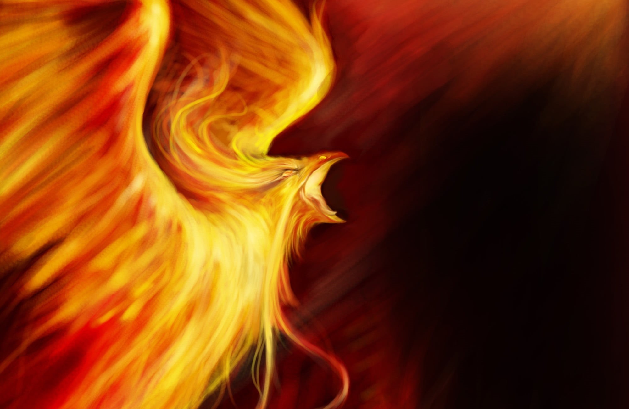 illustration, indoors, abstract backgrounds, pattern, fire - Natural Phenomenon, black background, Phoenix, beauty, red, heat - Temperature, burning, textured, HD Wallpaper