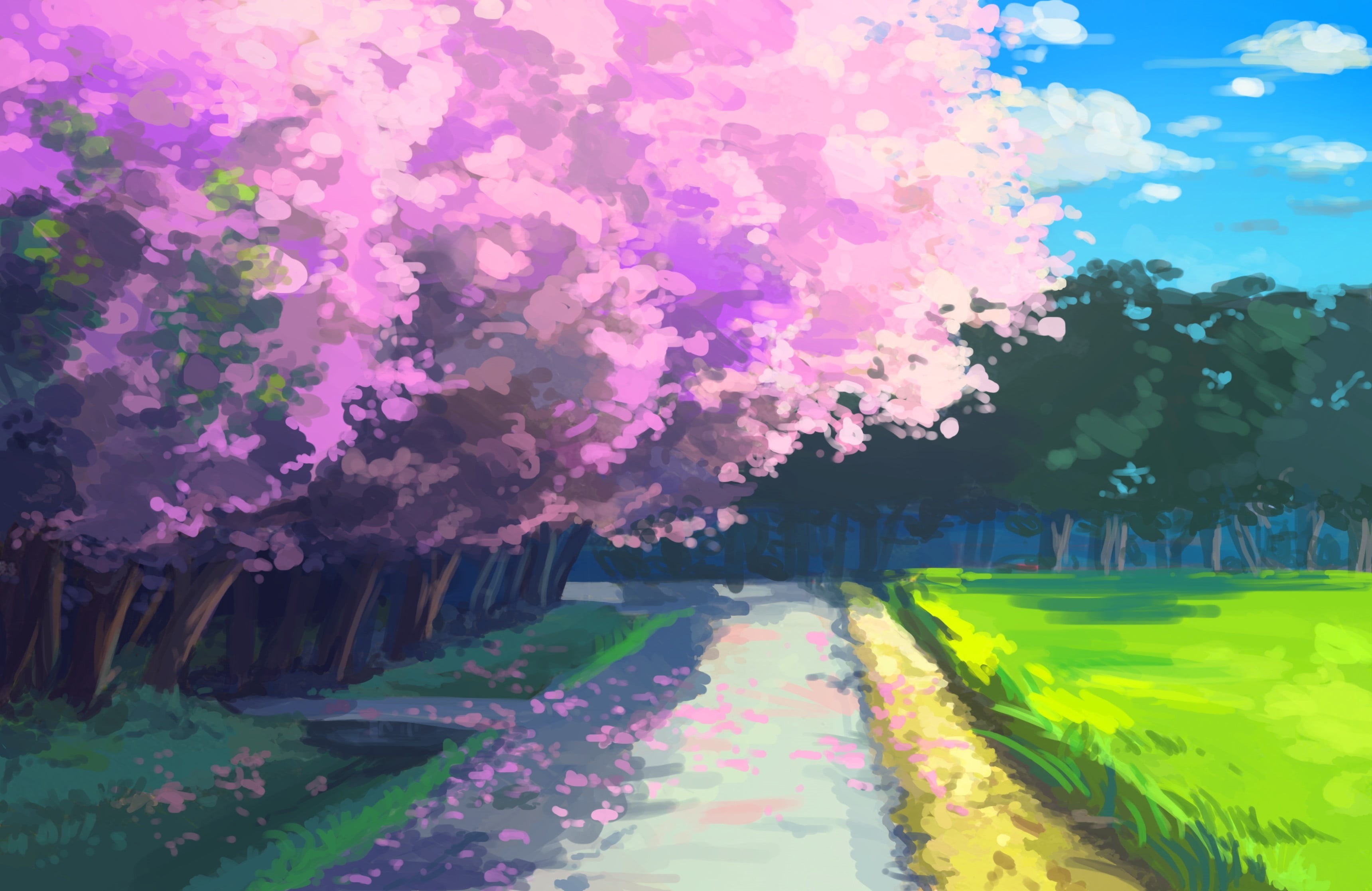 nature, day, sky, outdoors, cherry blossom, flowering plant, springtime, water, anime, pink color, reflection, freshness, beauty in nature, tranquil scene, HD Wallpaper