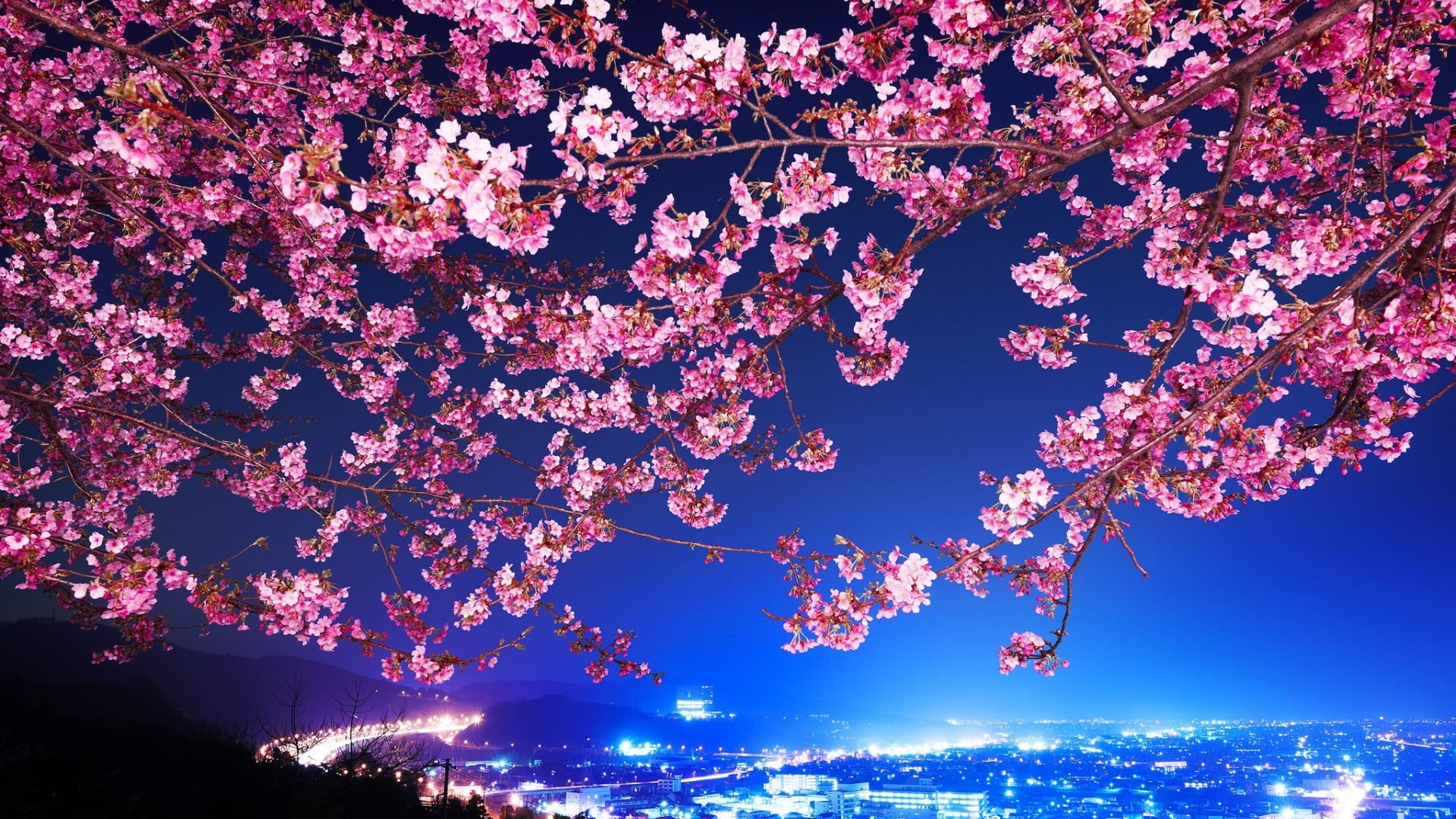 growth, trees, tree, blossom, cityscape, japan, cherry, sky, outdoors, plant, city, night, nature, petal, pink, fragility, backgrounds, freshness, no people, HD Wallpaper