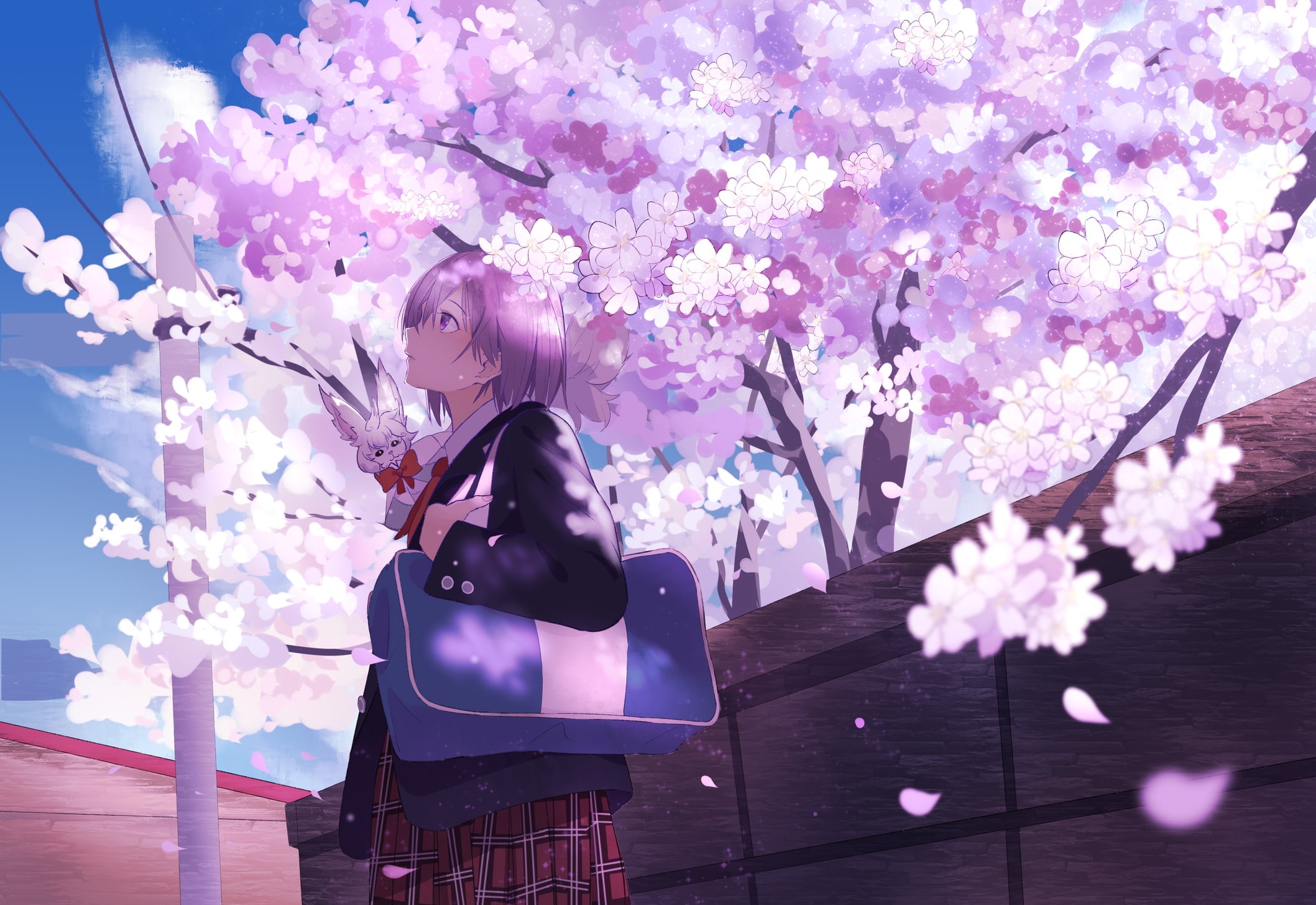 tree, leisure activity, one person, growth, lifestyles, springtime, Fate Series, blossom, cherry blossom, nature, purple, beauty in nature, fragility, cherry tree, HD Wallpaper