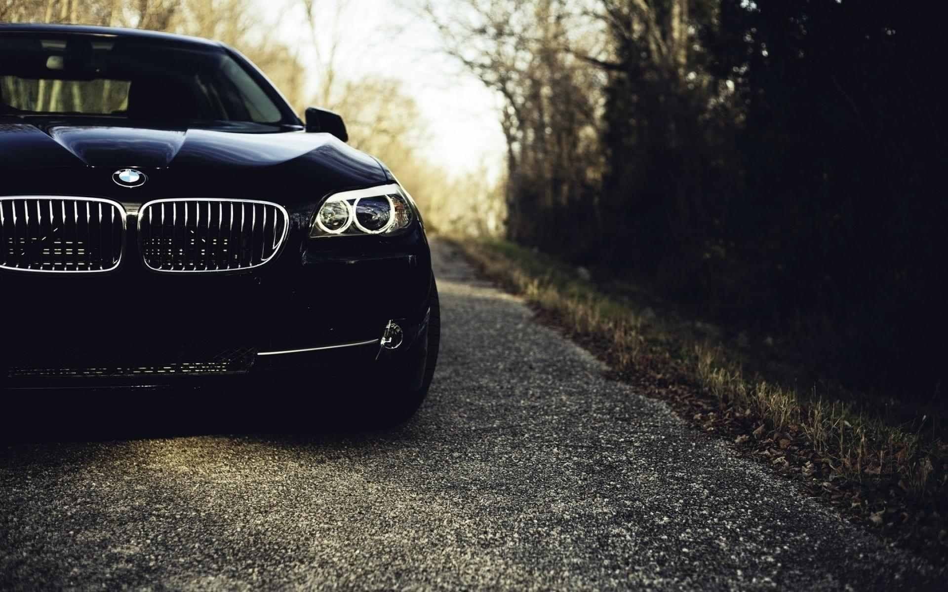 road, tree, mode of transportation, black, travel, outdoors, city, land vehicle, BMW, black cars, BMW M3 , transportation, nature, tire, retro styled, day, HD Wallpaper