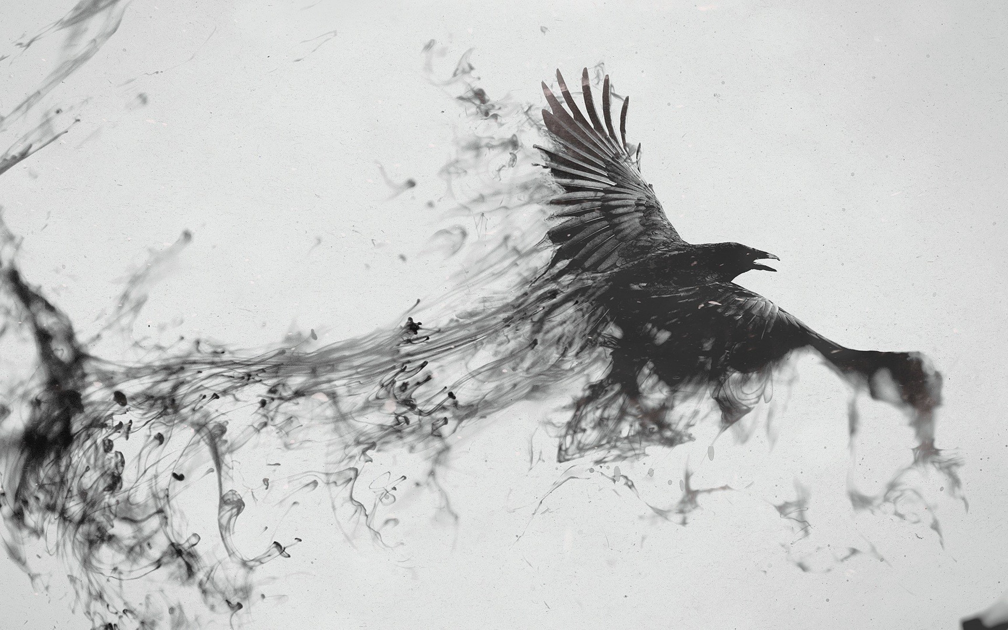4K, bird, 4k pics, flying, smoke, raven, black white, HD Wallpaper