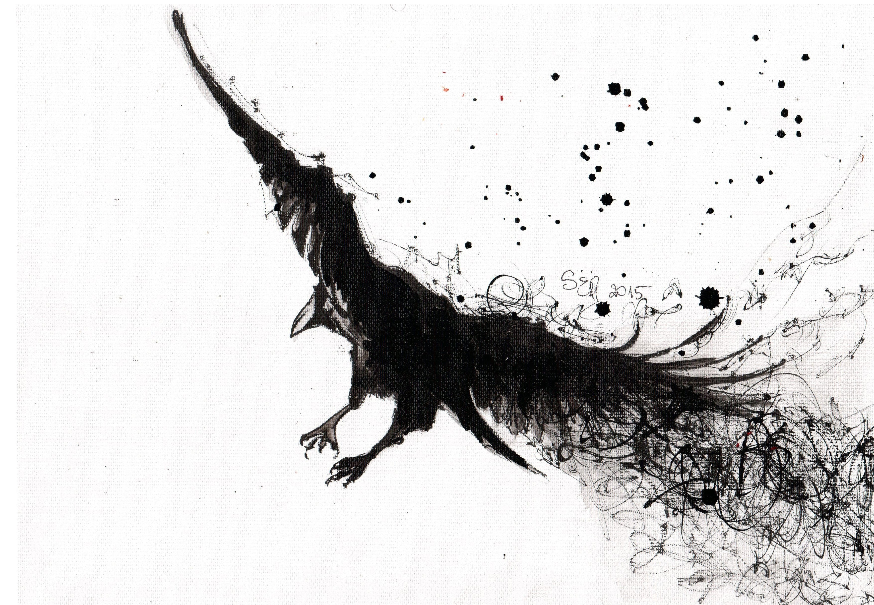 invertebrate, insect, vertebrate, monochrome, animal wildlife, indoors, close-up, bird, birds, animal body part, animals in the wild, sketch, day, zoology, HD Wallpaper