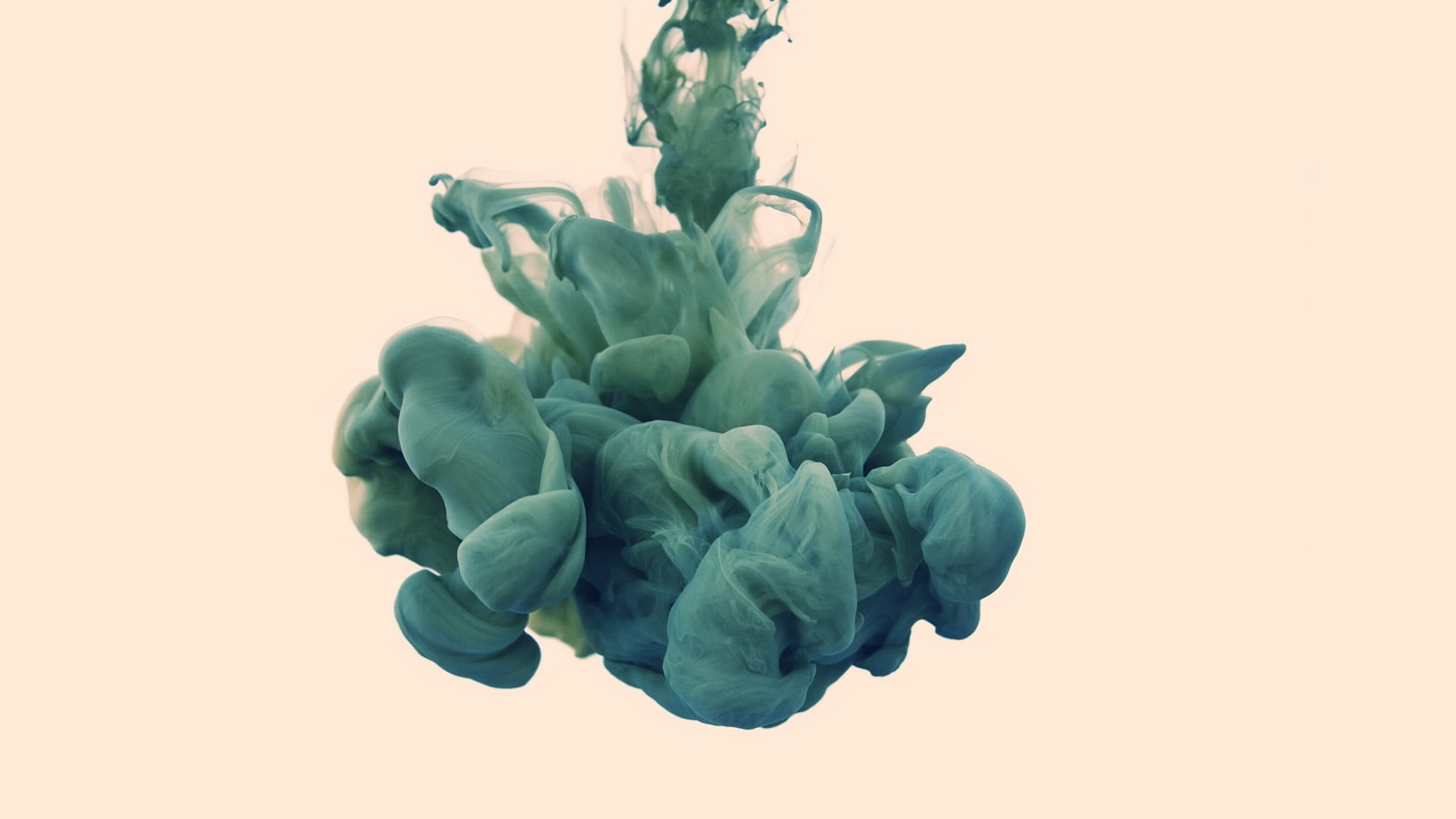 close-up, studio shot, nature, growth, motion, paint, cut out, Alberto Seveso, art and craft, smoke, mixing, green color, no people, single object, dissolving, HD Wallpaper