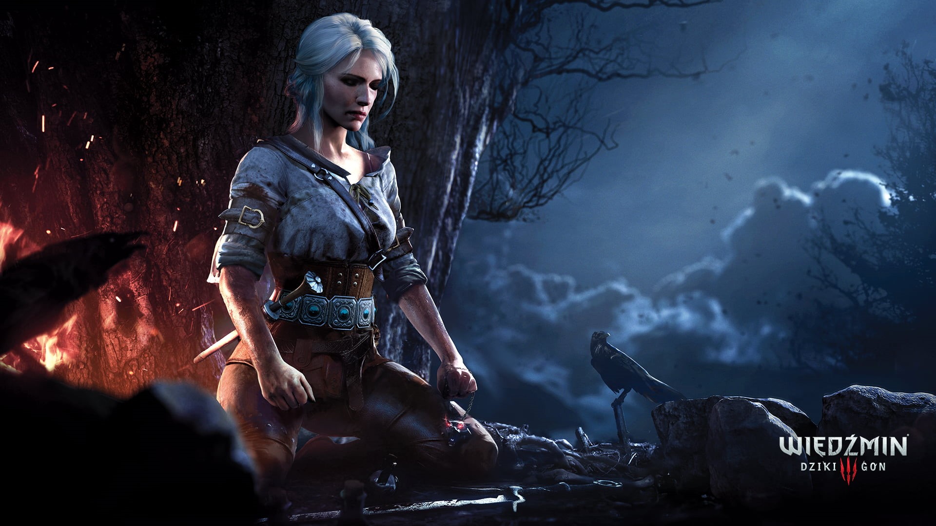 video games, The Witcher 3: Wild Hunt, fantasy, nature, wild, women, Cirilla Fiona Elen Riannon, young women, The Witcher, looking, activity, iii, smoke - physical structure, HD Wallpaper