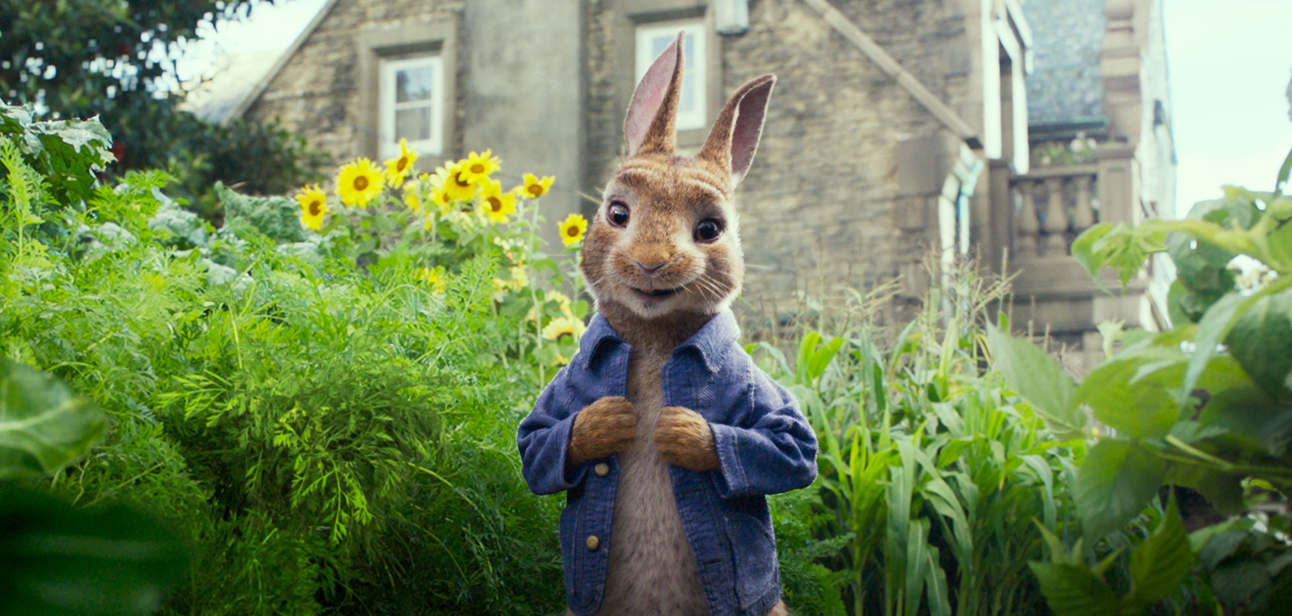 4k, 4K, Peter Rabbit, HD Wallpaper