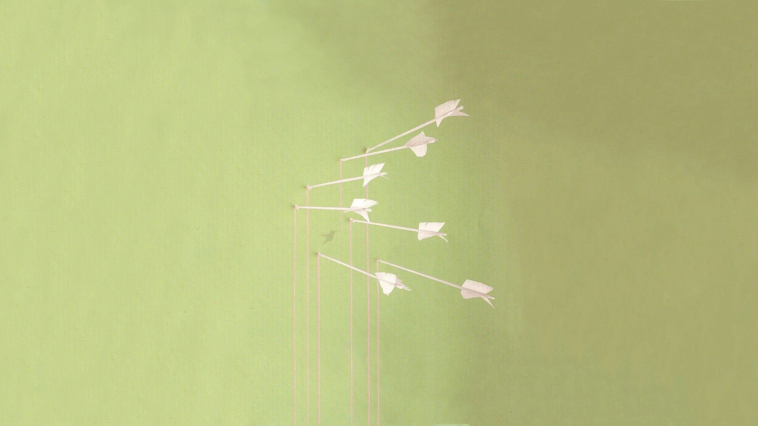 sky, low angle view, grass, Modest Mouse, sunlight, transportation, outdoors, flying, mode of transportation, Music, 2560x1440 px, mouse, mid-air, px, modest, HD Wallpaper