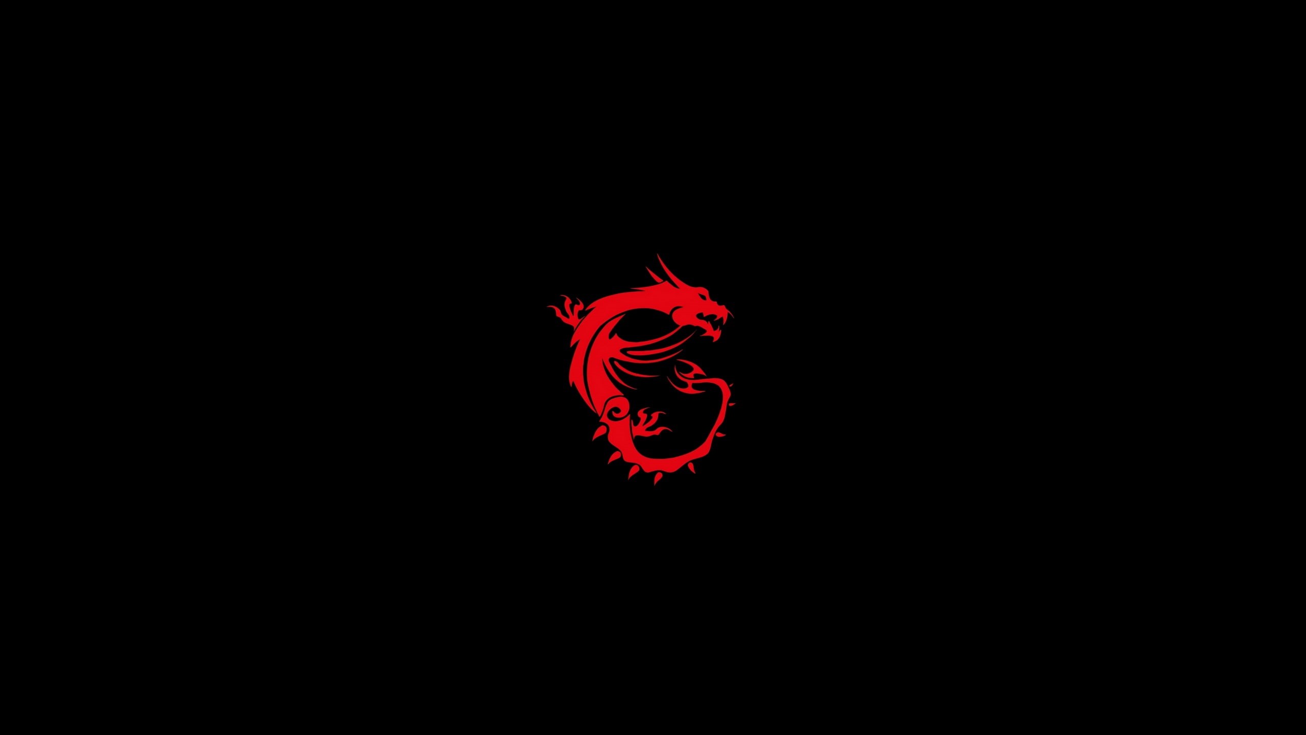 motion, one animal, nature, no people, illuminated, dragon, indoors, animals in the wild, black background, computer, hd, close-up, animal representation, HD Wallpaper