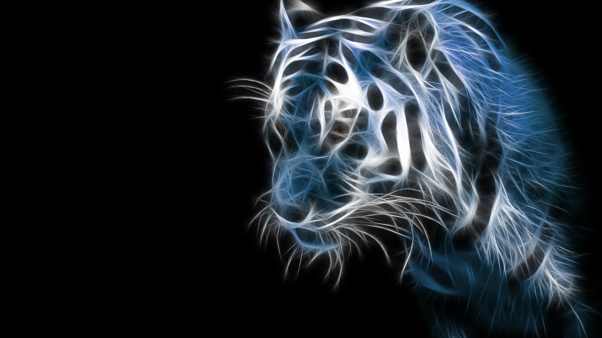 animals, science, skeleton, long exposure, black background, medical x-ray, human body part, close-up, 1080P, studio shot, technology, copy space, illuminated, HD Wallpaper