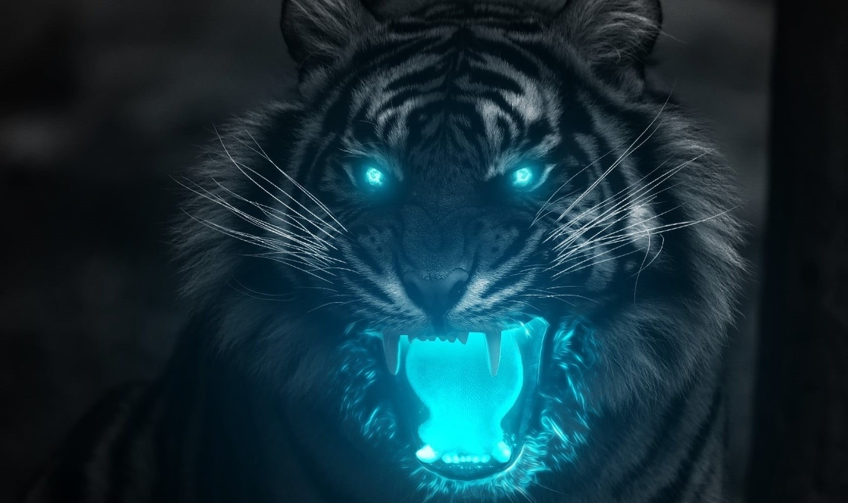animals, 720P, domestic, animal body part, vertebrate, illuminated, tiger, turquoise colored, whisker, mammal, blue, focus on foreground, domestic animals, HD Wallpaper
