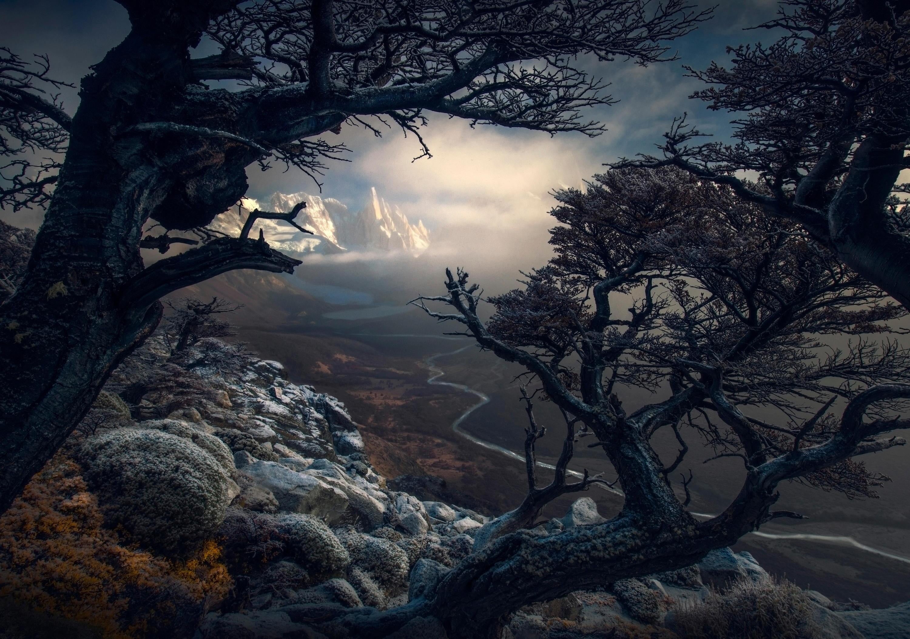 sky, dead plant, plant, mountains, nature, 2K, non-urban scene, trunk, branch, rock, Max Rive, day, beauty in nature, growth, landscape, leaves, tree trunk, HD Wallpaper