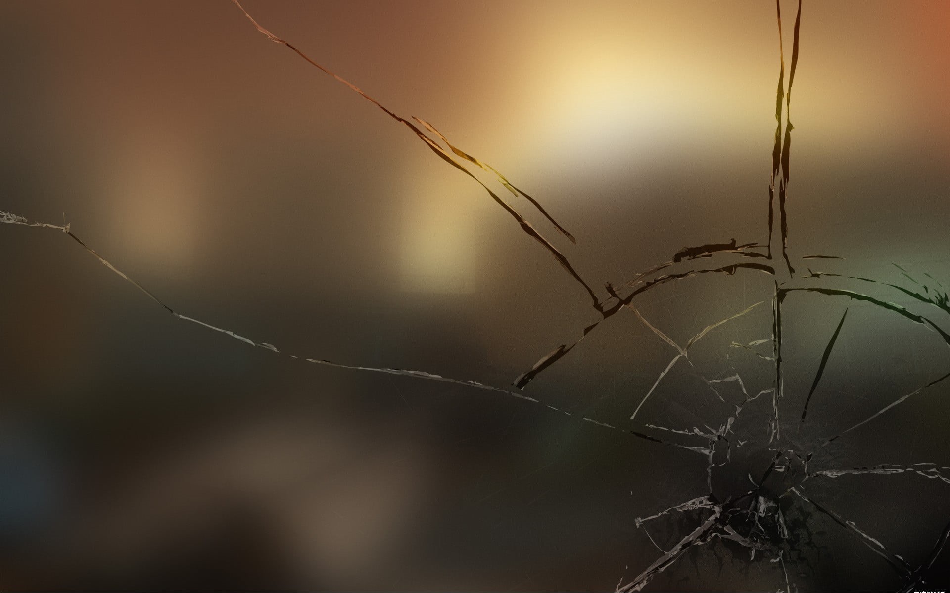 cracked, dead plant, wet, glass, water, no people, night, social issues, shallow, twig, broken glass, fragility, nature, spider web, drop, focus on foreground, HD Wallpaper