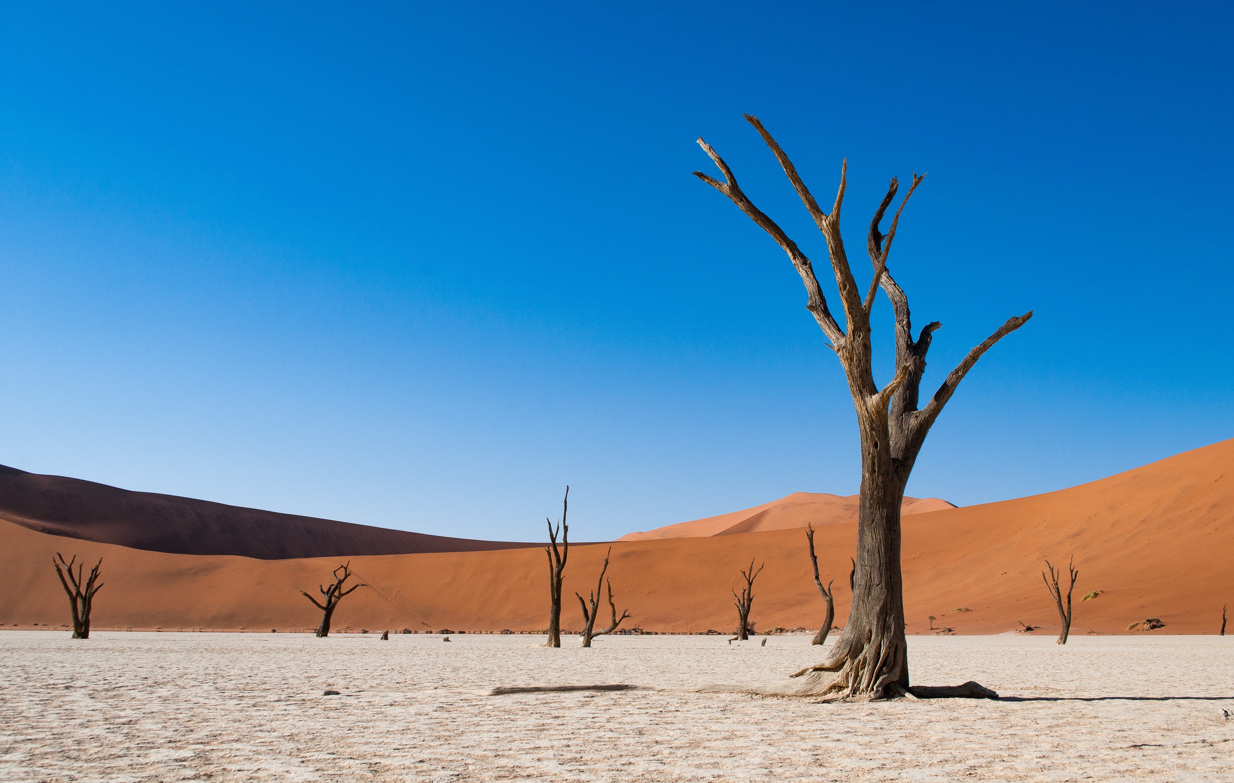 landscape, namib desert, sand, climate, outdoors, dune, savanna, scenery, desert, nature, barn, slope, brown, scenics - nature, weather, sand dune, clear sky, HD Wallpaper