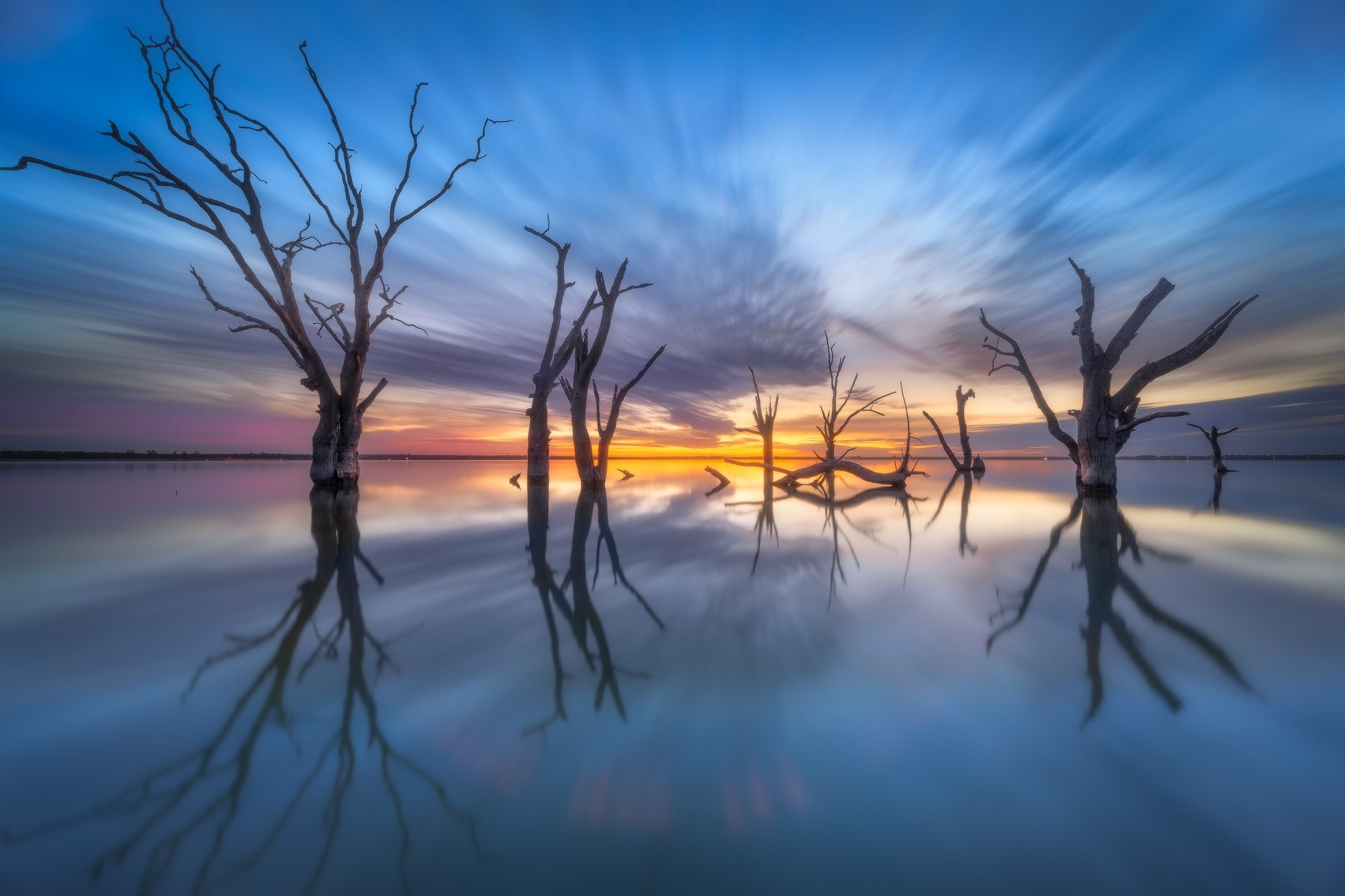 sunset, 1080P, landscape, dead trees, HD Wallpaper