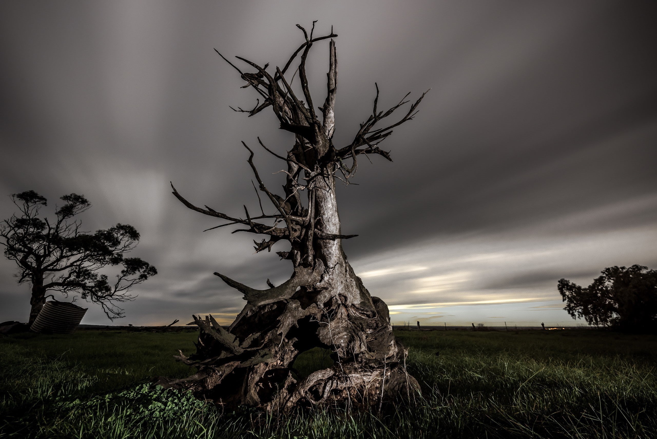 trunk, grass, no people, dead plant, clouds, sky, environment, tranquil scene, land, tree trunk, 2K, nature, field, tree, non-urban scene, scenics - nature, HD Wallpaper
