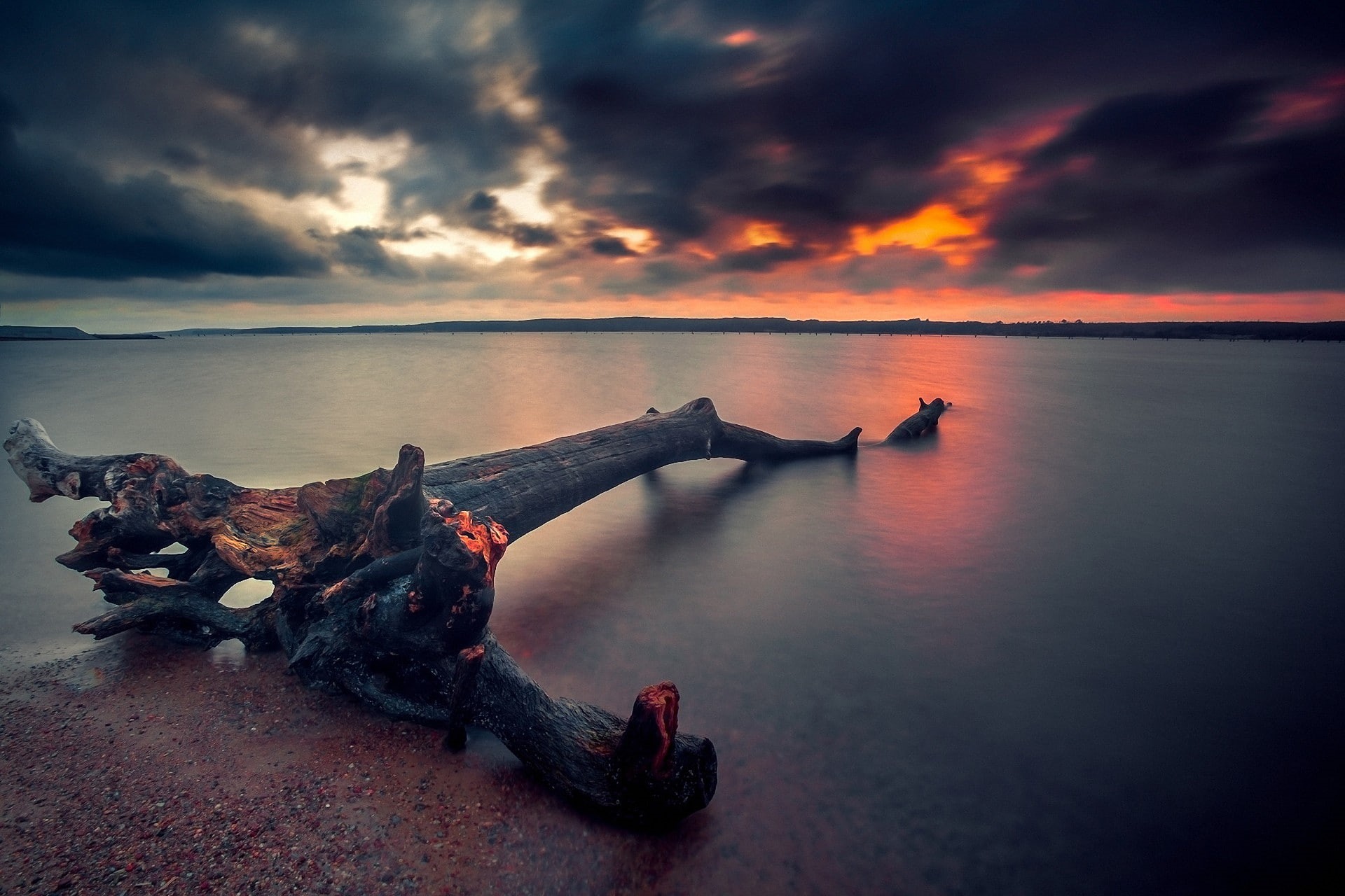beach, skyscape, 1080P, landscape, sunset, dead trees, HD Wallpaper