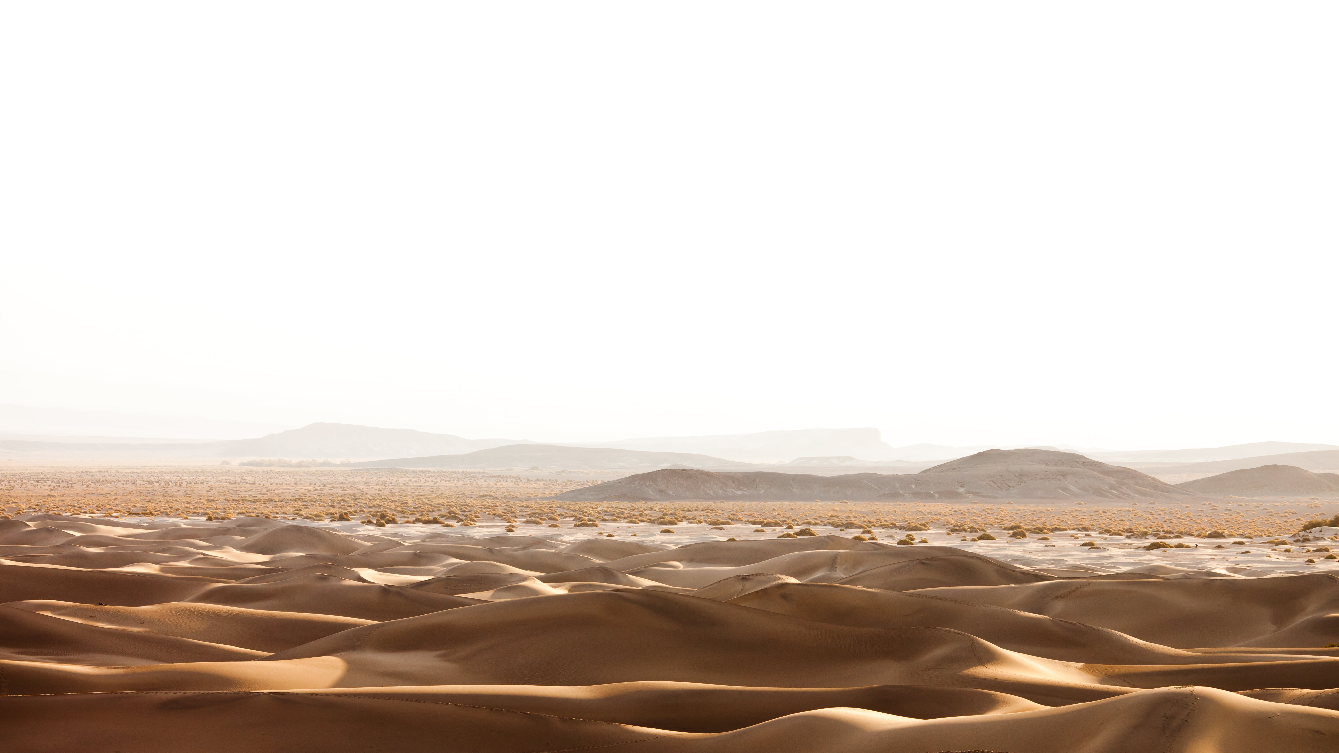 Mesquite, dry, USA, Death Valley National Park, sunrise, desert  sand, California, Google, nature, desert, photography, United States of America, 5K, clear, HD Wallpaper