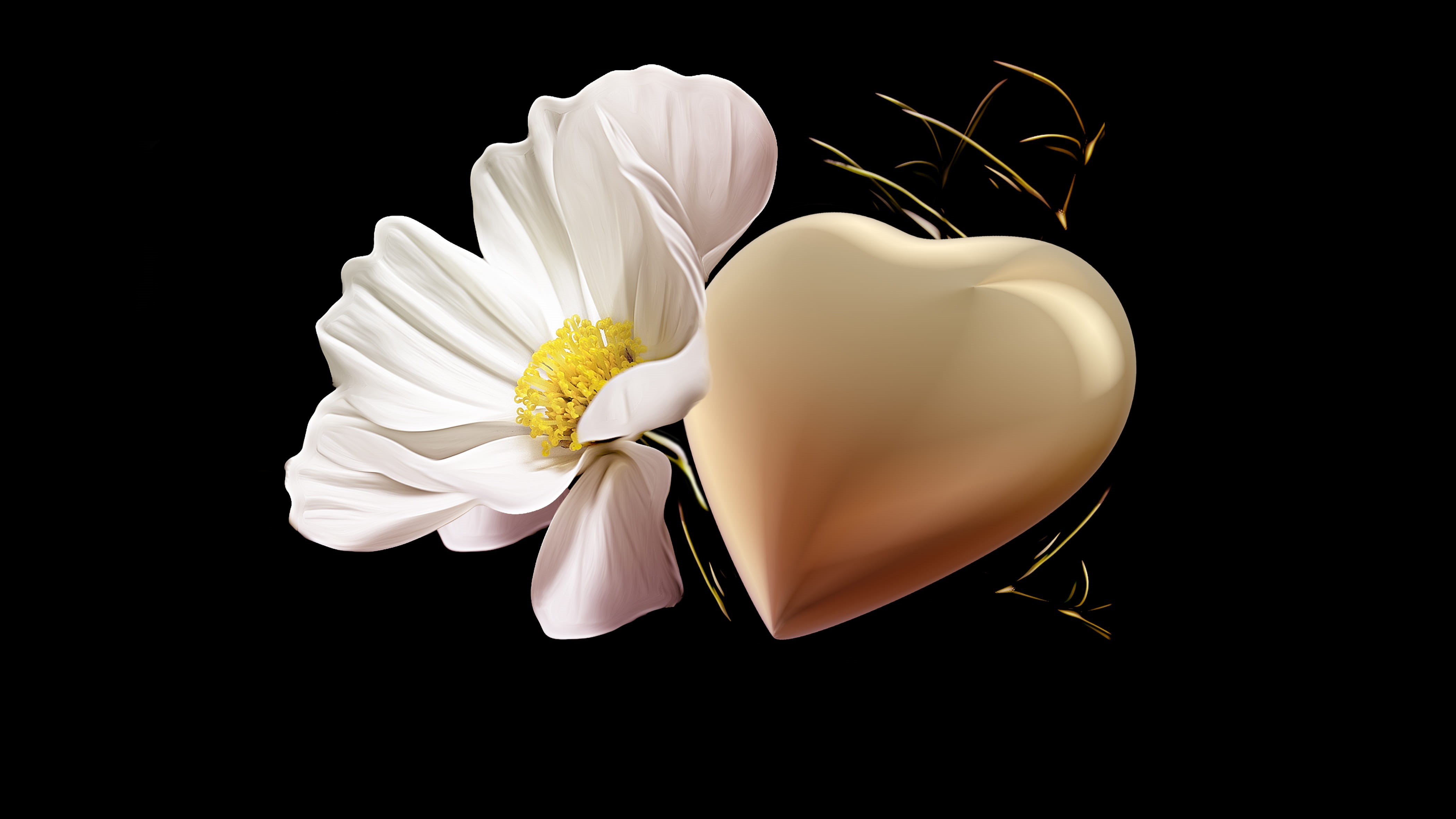 hope, christian, blossom, white color, flower, bloom, plant, flower head, inflorescence, floral card, fragility, vulnerability, flowering plant, obituary, HD Wallpaper