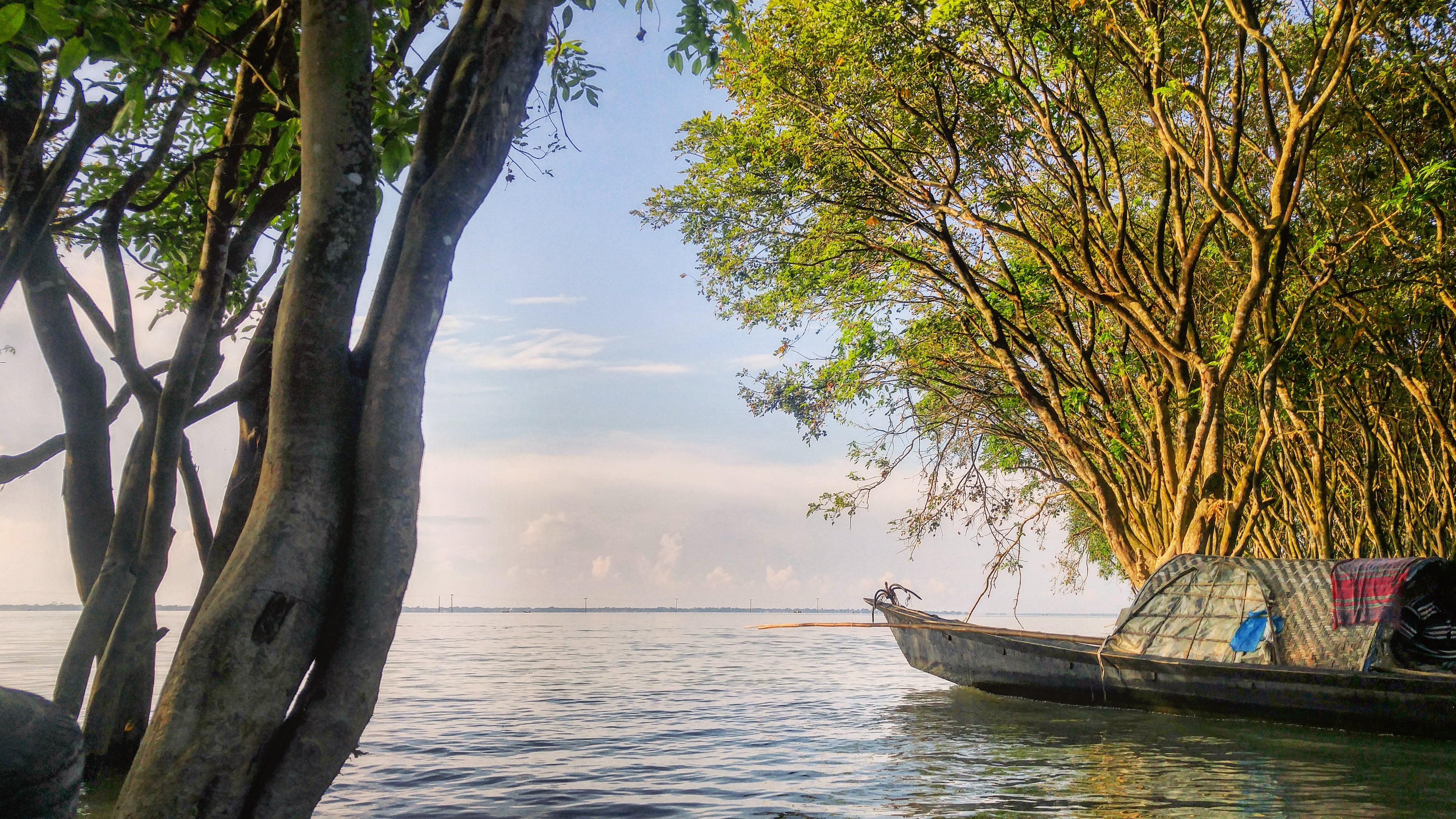 Bangladesh, scenics - nature, mode of transportation, transportation, tree, 4K, sea, nature, waterfront, nautical vessel, boat, beauty in nature, water, HD Wallpaper