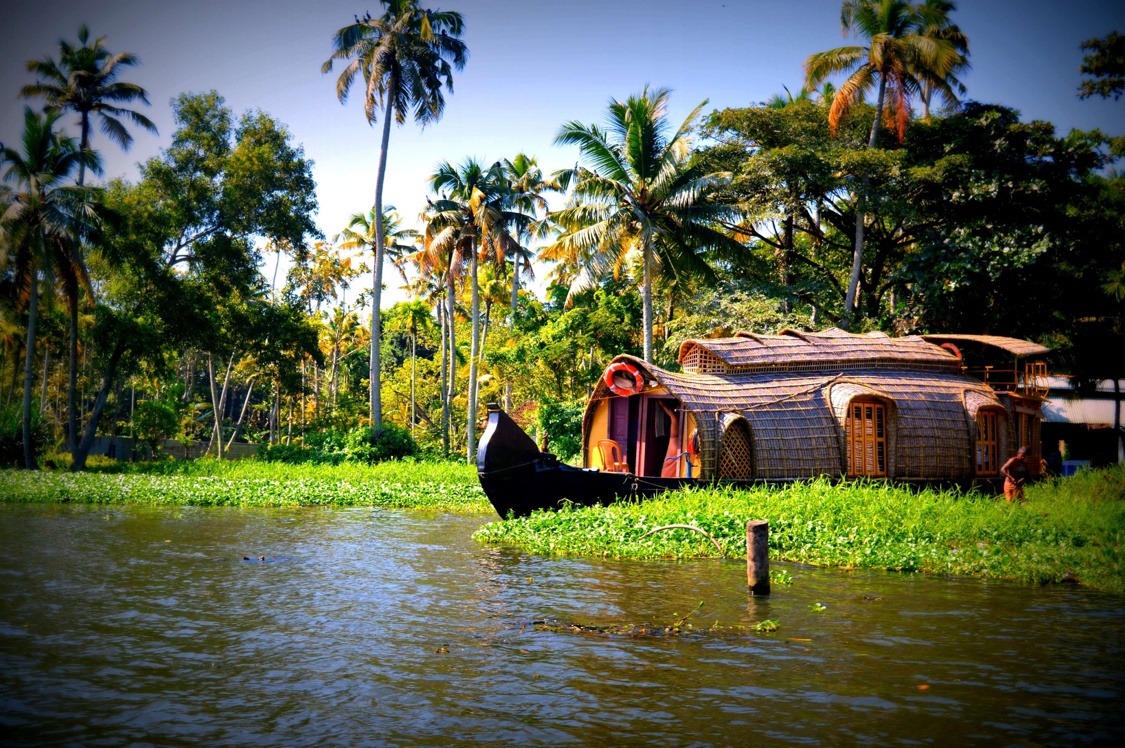 waterfront, one person, houseboats, lifestyles, men, coconut palm tree, growth, palm tree, tropical climate, trees, occupation, 4K, land, nature, kerala, HD Wallpaper