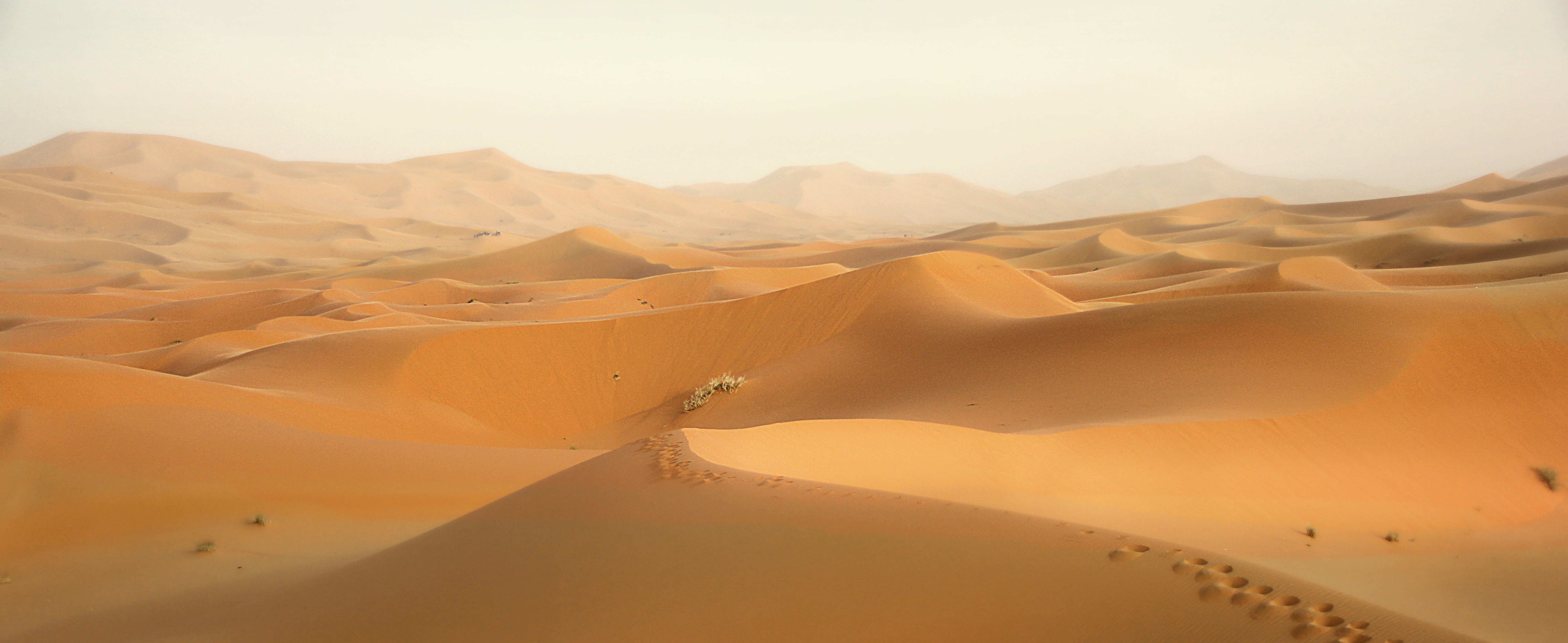 landscape, non-urban scene, beauty In Nature, dunes, no People, dry, travel, nature, brown, dessert, extreme Terrain, land, white, scenics - nature, scenics, HD Wallpaper