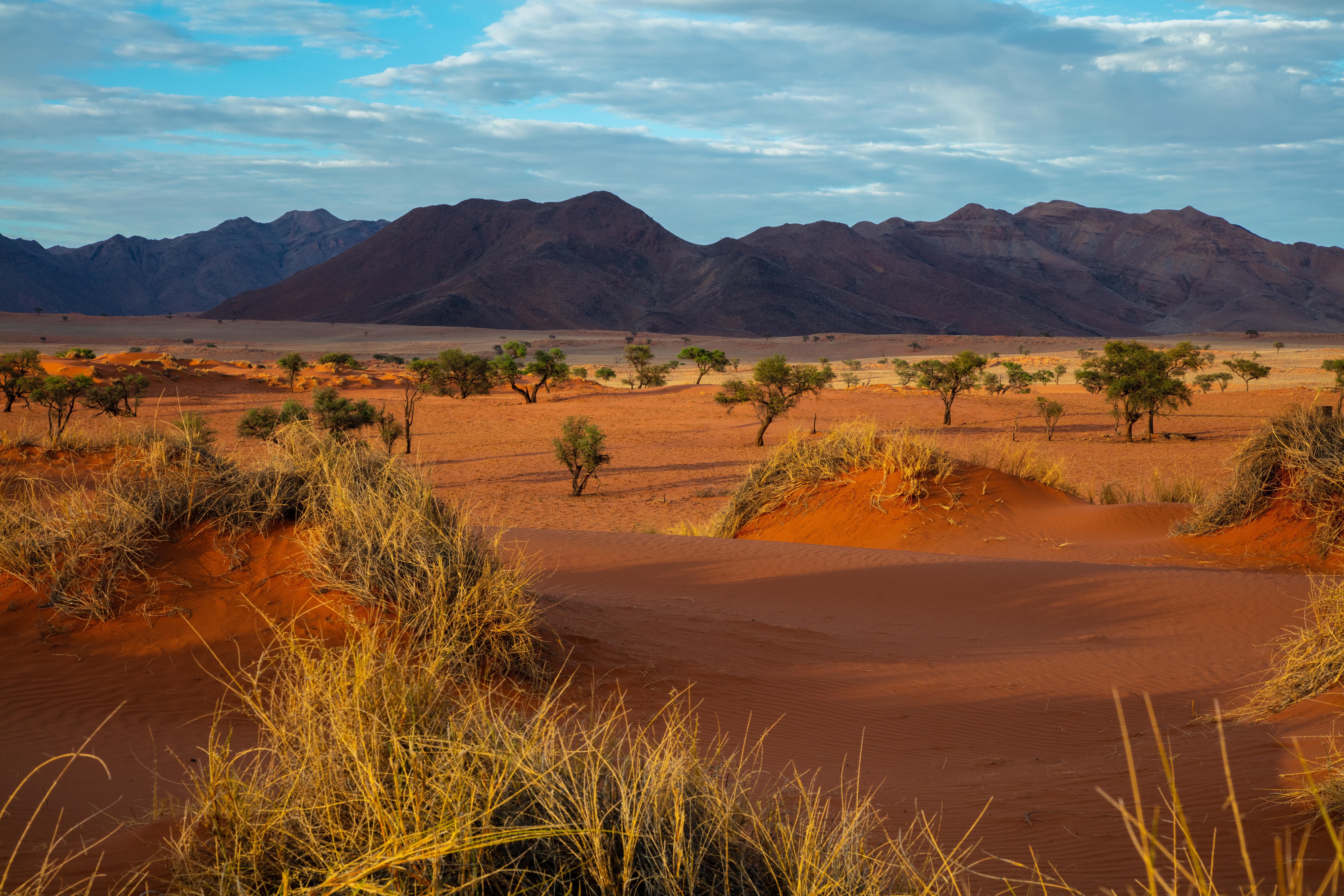 tranquility, dune, mesa, scenics - nature, 8K, soil, countryside, wilderness, grassland, mountain range, landscape, nature, day, outdoors, sand, savanna, HD Wallpaper