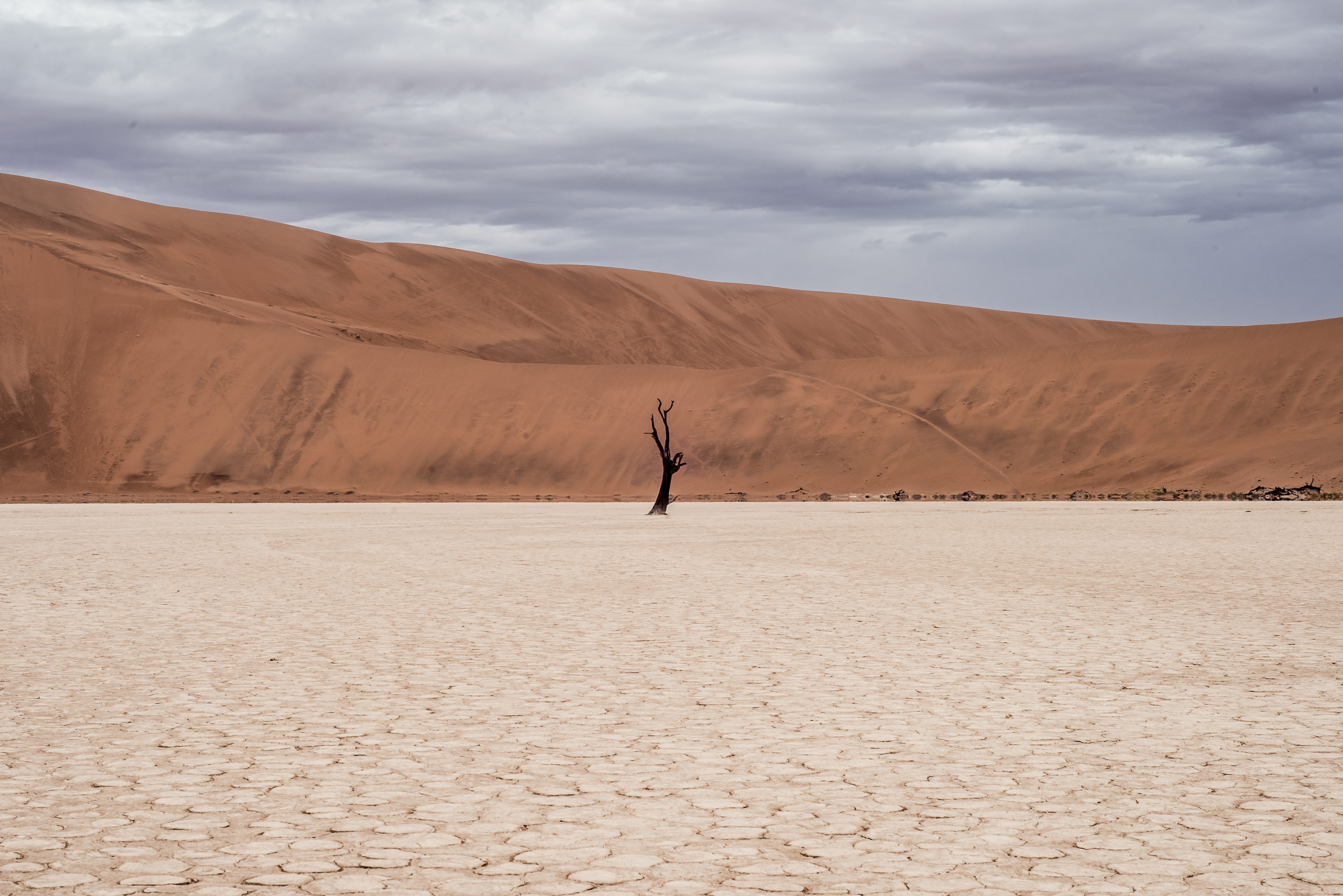 arms raised, land, beauty in nature, dead tree, remote, desert, no People, arid climate, tranquil scene, nature, black, dry, daytime, landscape, human arm, HD Wallpaper