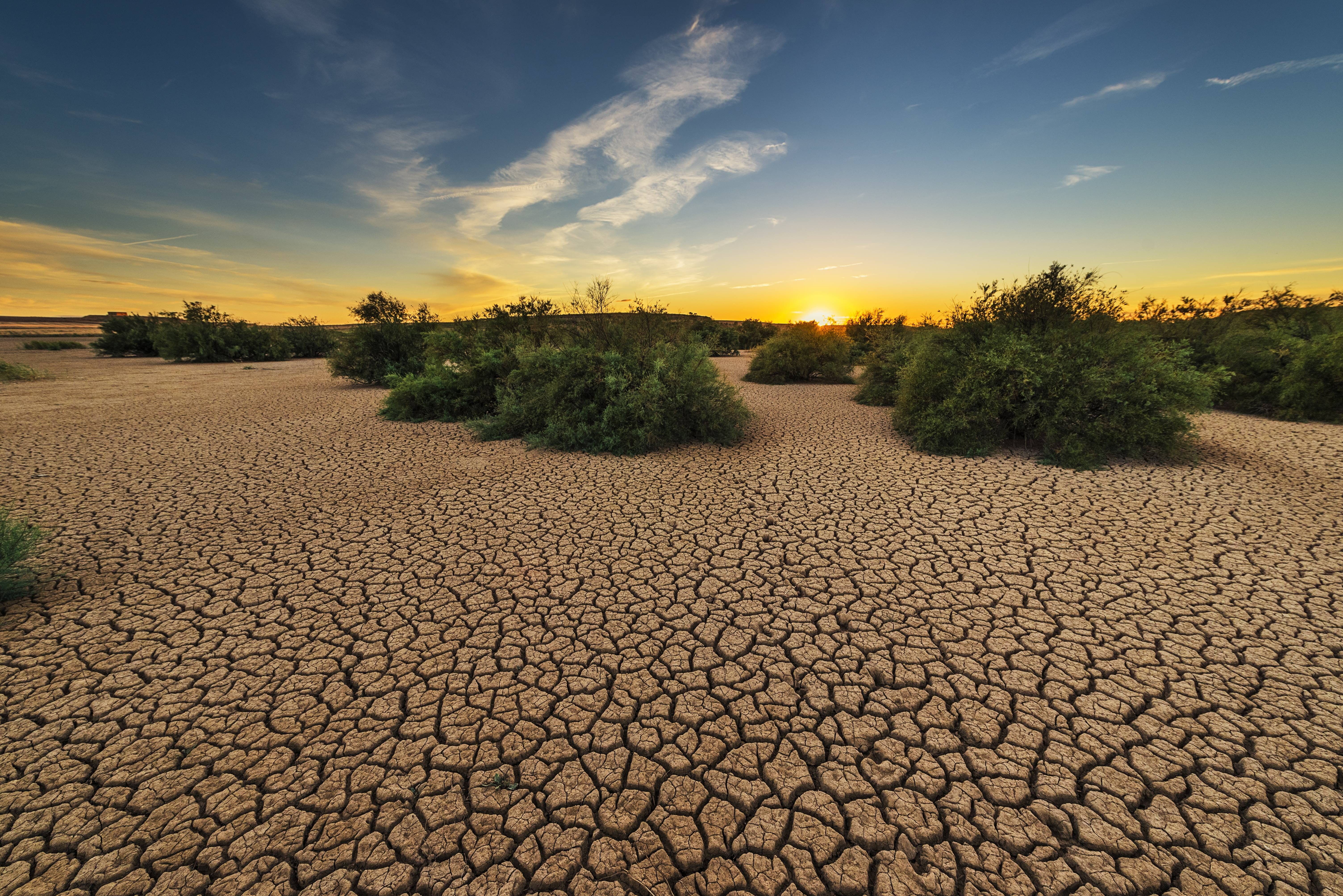 clay, floor, 5K, dehydrated, drought, cracks, cracked, earth, HD Wallpaper