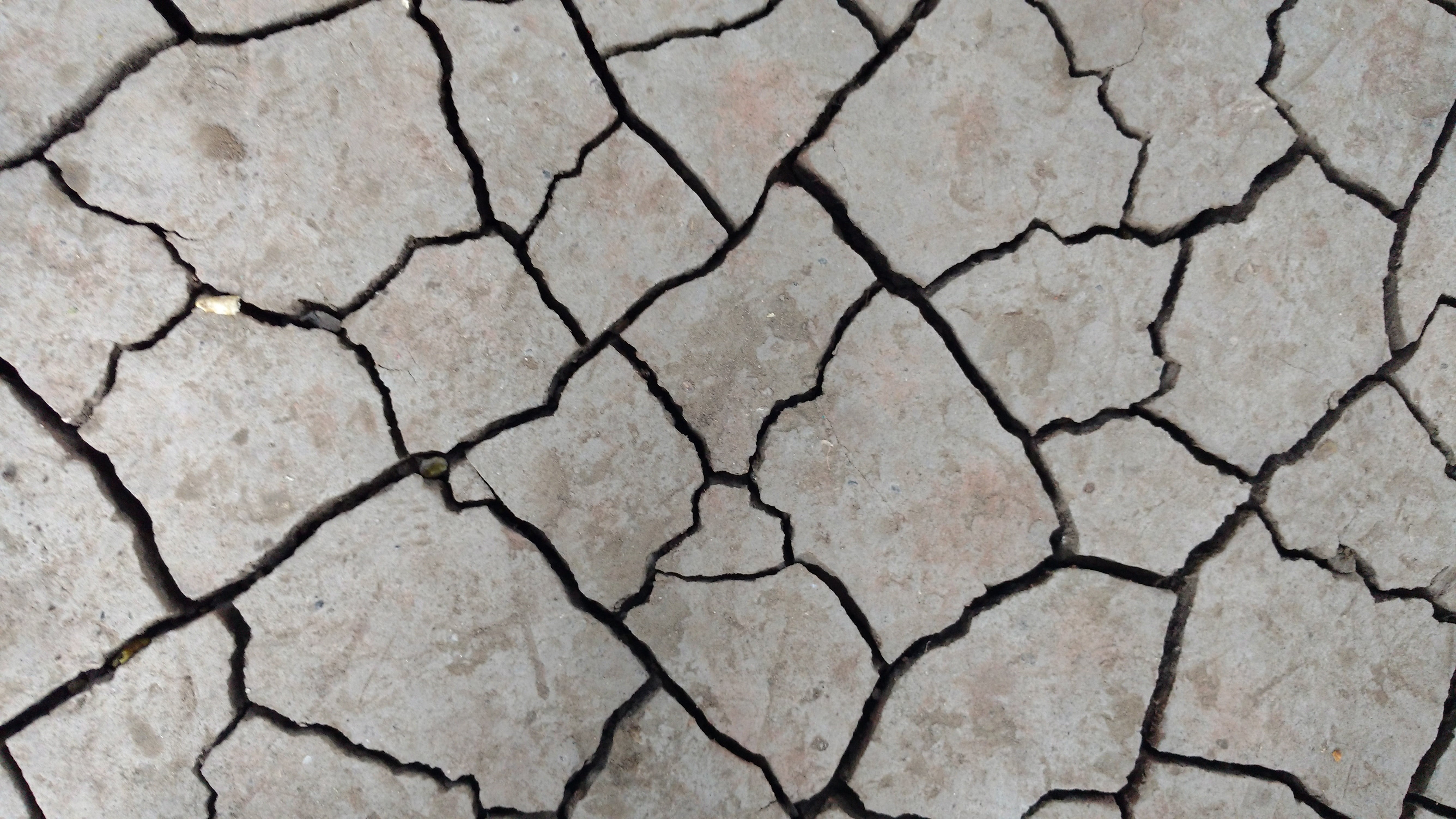 day, earthquake, dry, cracks, 5K, tectonic plates, cracked, land, environment, fissures, outdoors, textured, drought, ground, high angle view, close-up, HD Wallpaper