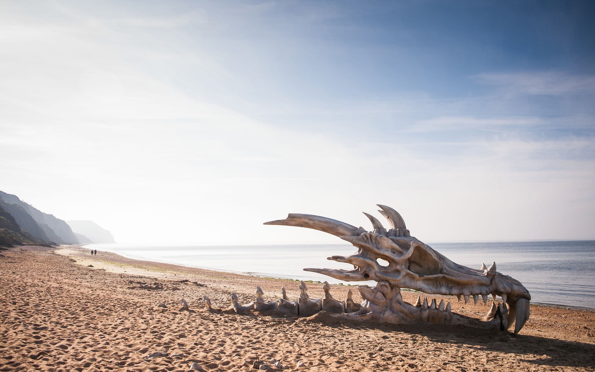  day, beauty in nature, sky, digital, cloud - sky, skull, scenics - nature, seashore, water, horizon over water, deterioration, driftwood, land, HD Wallpaper