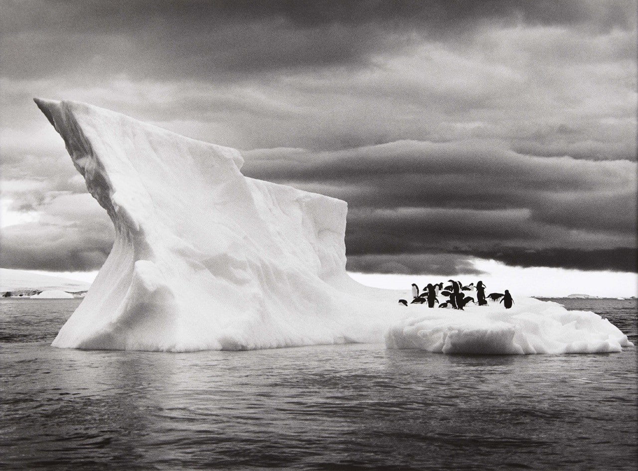 clouds, penguins, nature, photography, animals, sea, ice, 720P, monochrome, landscape, iceberg, Sebastiao Salgado, Antarctica, HD Wallpaper