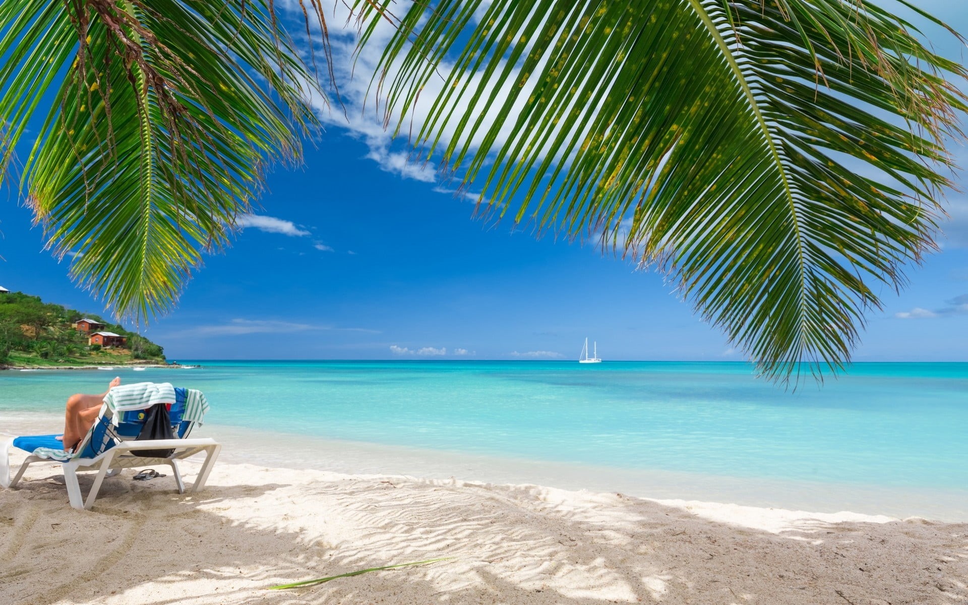 sky, sea, scenics - nature, blue, palm tree, palm trees, luxury, plant, horizon over water, landscape, beauty in nature, tranquility, beach, sand, summer, HD Wallpaper