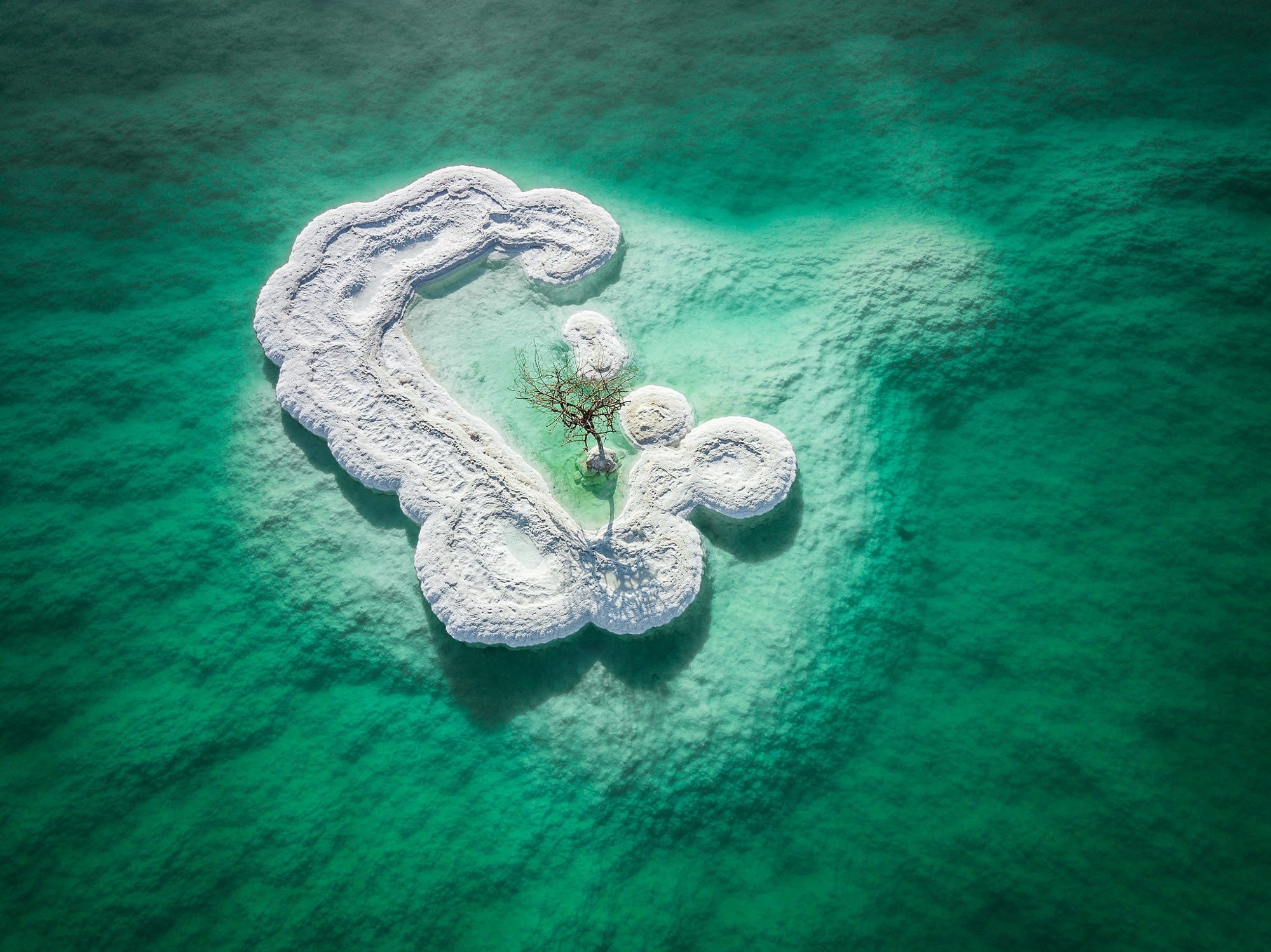 trees, dead trees, Pacific Ocean, island, salt, alone, sea, 1080P, aerial view, HD Wallpaper