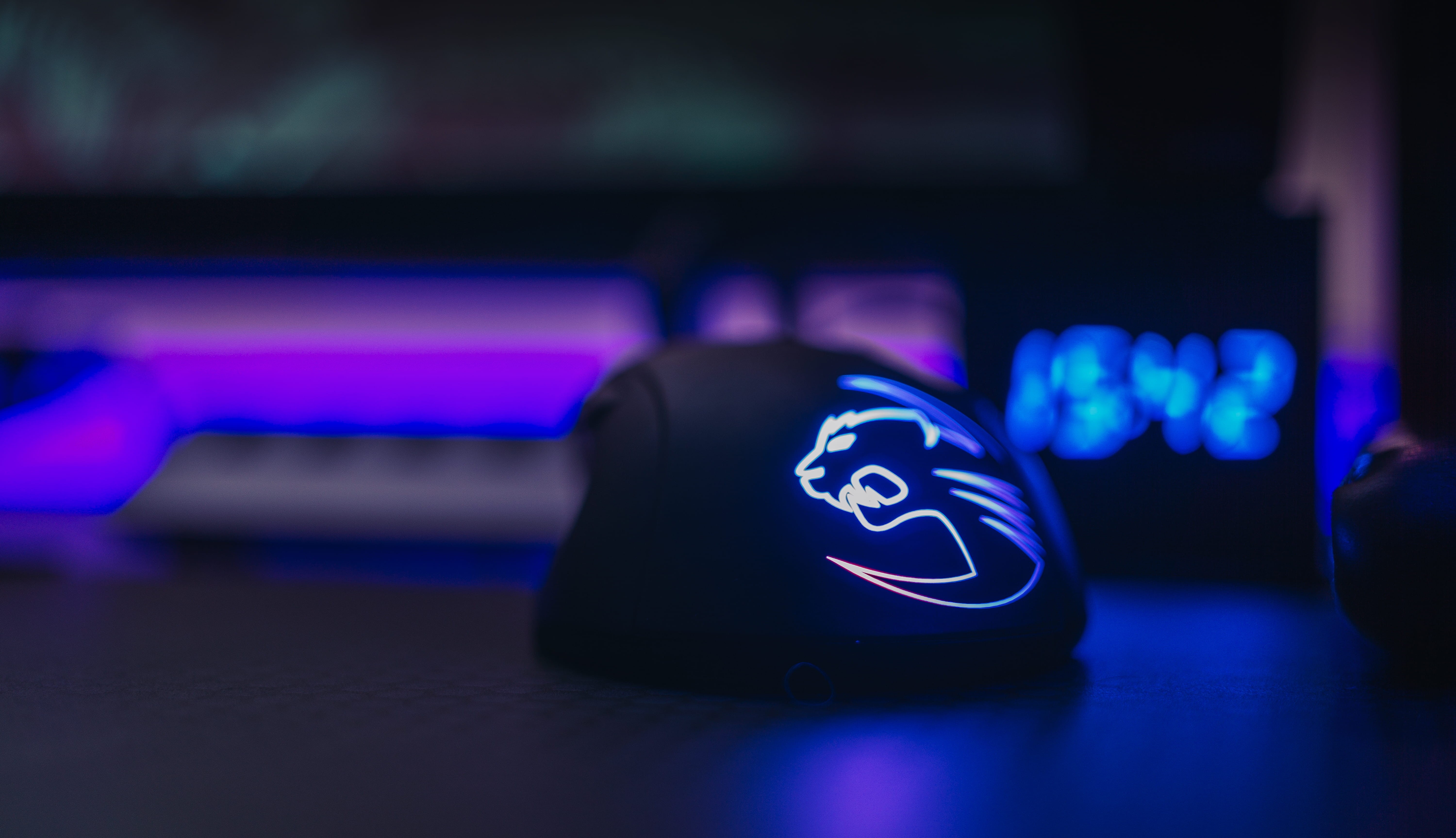 gaming, photography, sport, selective, selective focus, mouse, depth of field, arts culture and entertainment, focus, 5K, black, toy, lights, close-up, HD Wallpaper