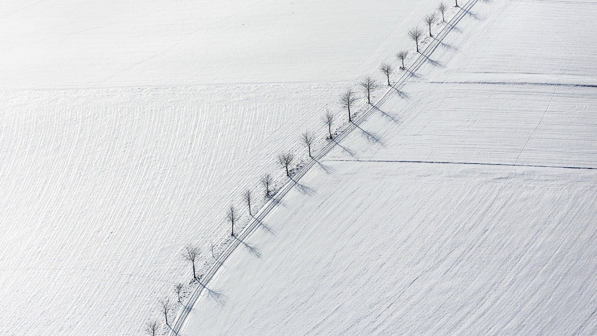 no people, land, built structure, simple, dead trees, 1080P, full frame, white, monochrome, concrete, high angle view, aerial view, connection, nature, HD Wallpaper