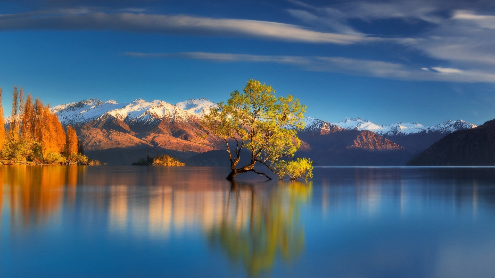1080P, lake, New Zealand, mountains, tree, Lake Wanaka, HD Wallpaper